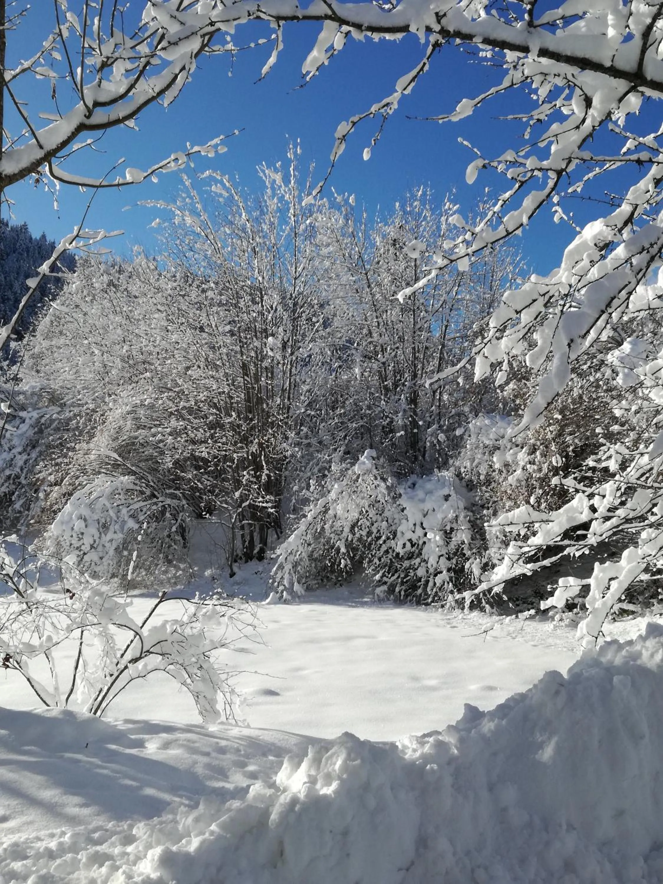 Other in Hotel La Quinta - adults only