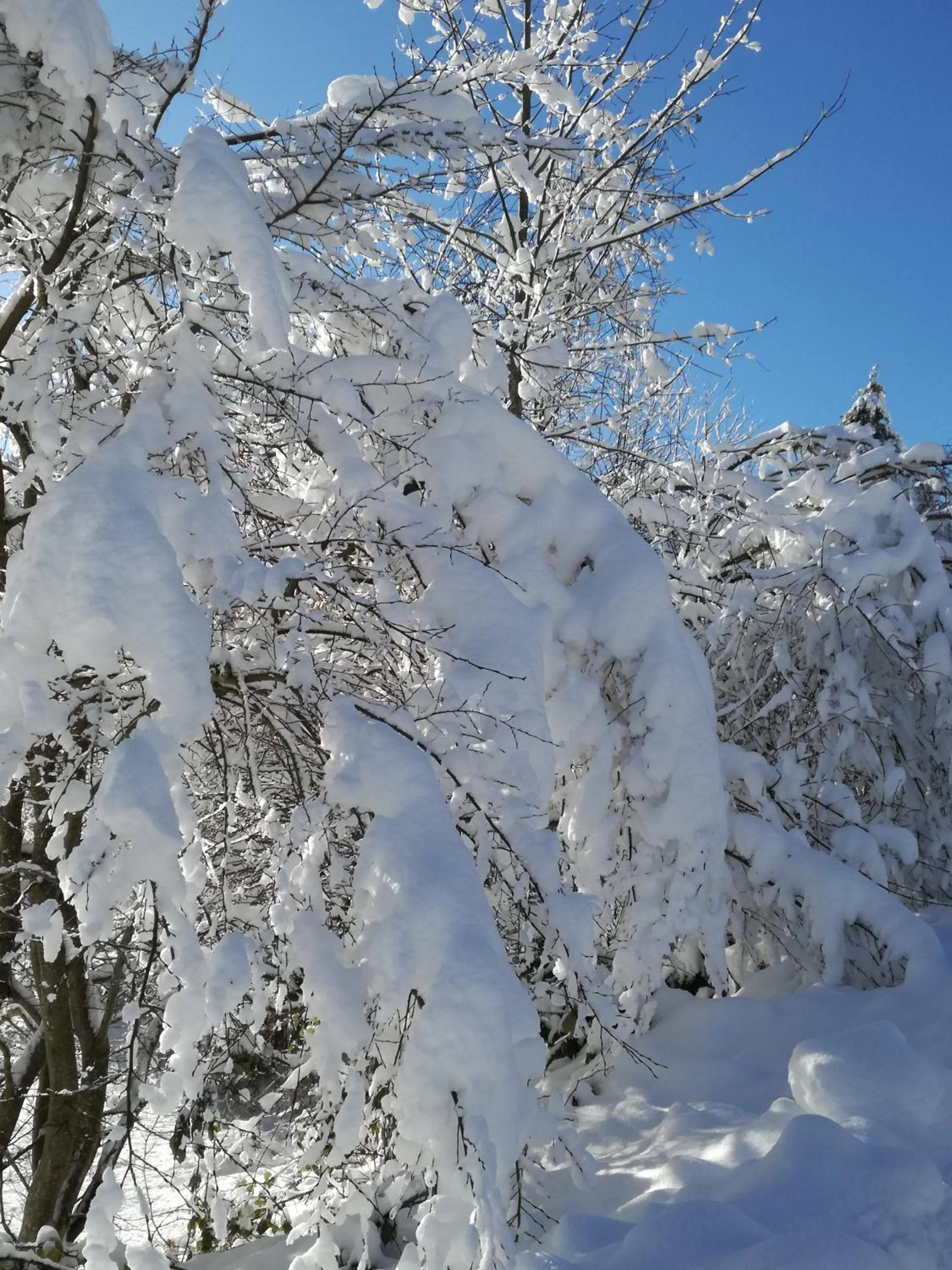 Other in Hotel La Quinta - adults only