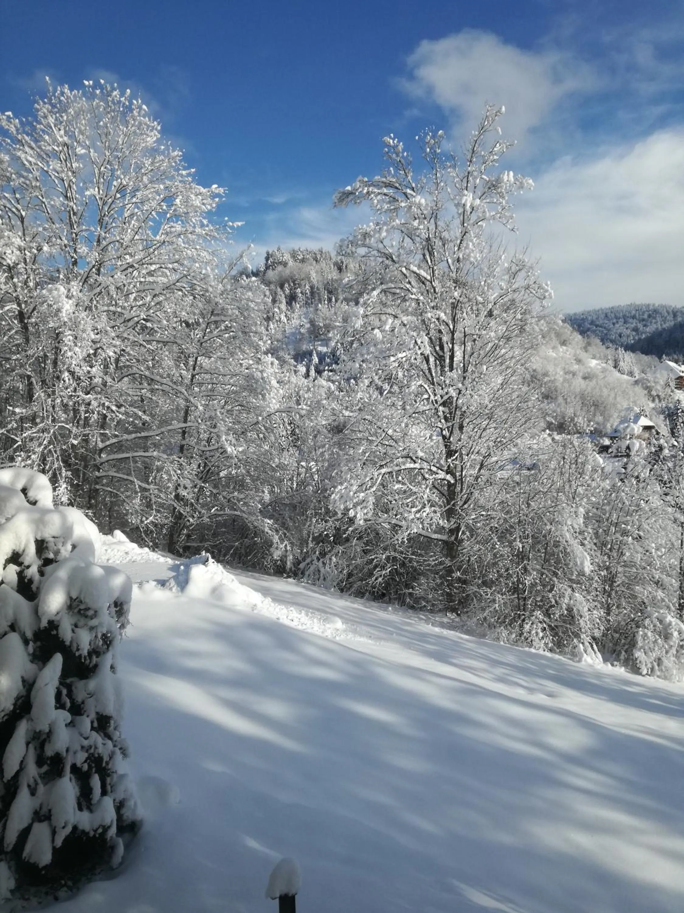 Other in Hotel La Quinta - adults only