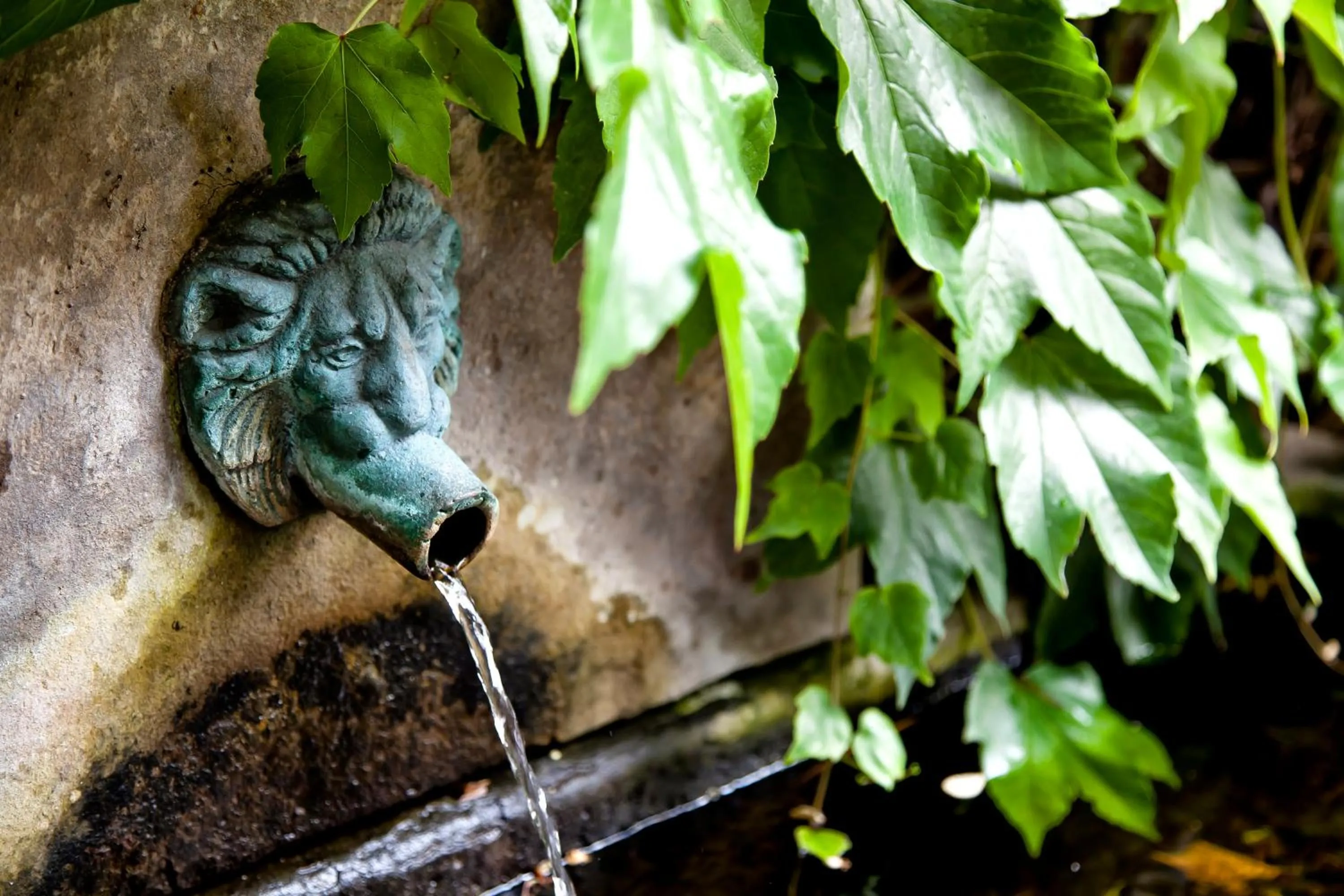Garden in Landhaus Flottbek Boutique Hotel