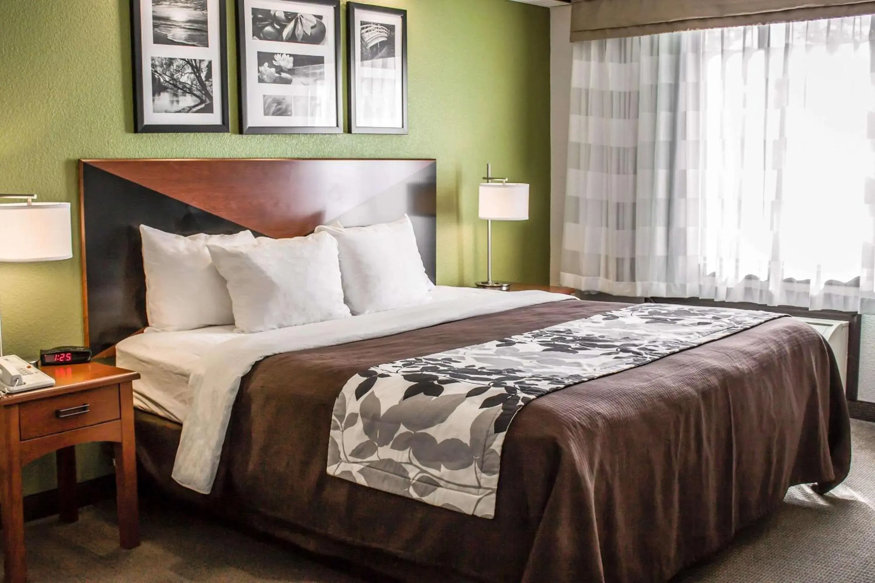 King Room - Non-Smoking in Sleep Inn Beaver- Beckley King Room - Non-Smoking in Sleep Inn Beaver- Beckley