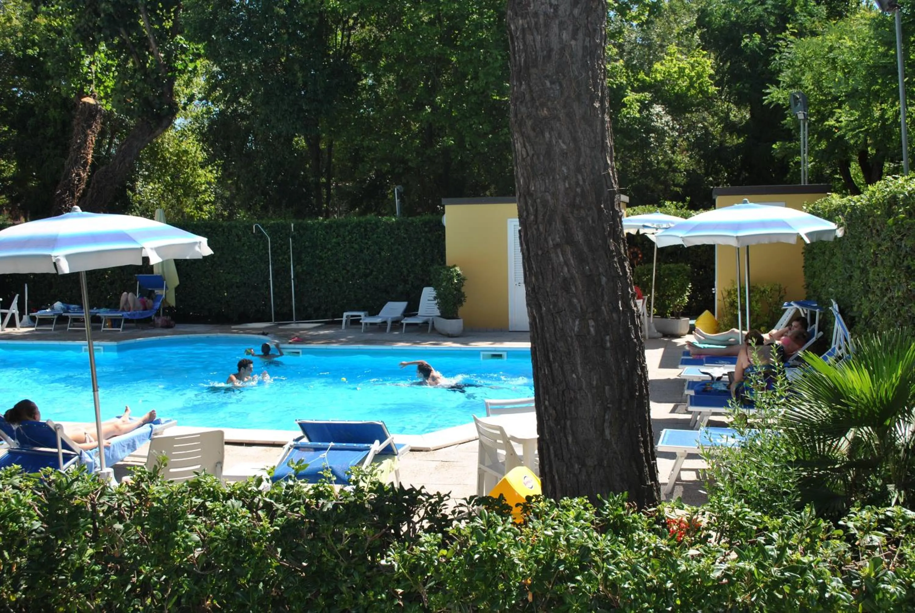 Swimming pool in Hotel Bahama