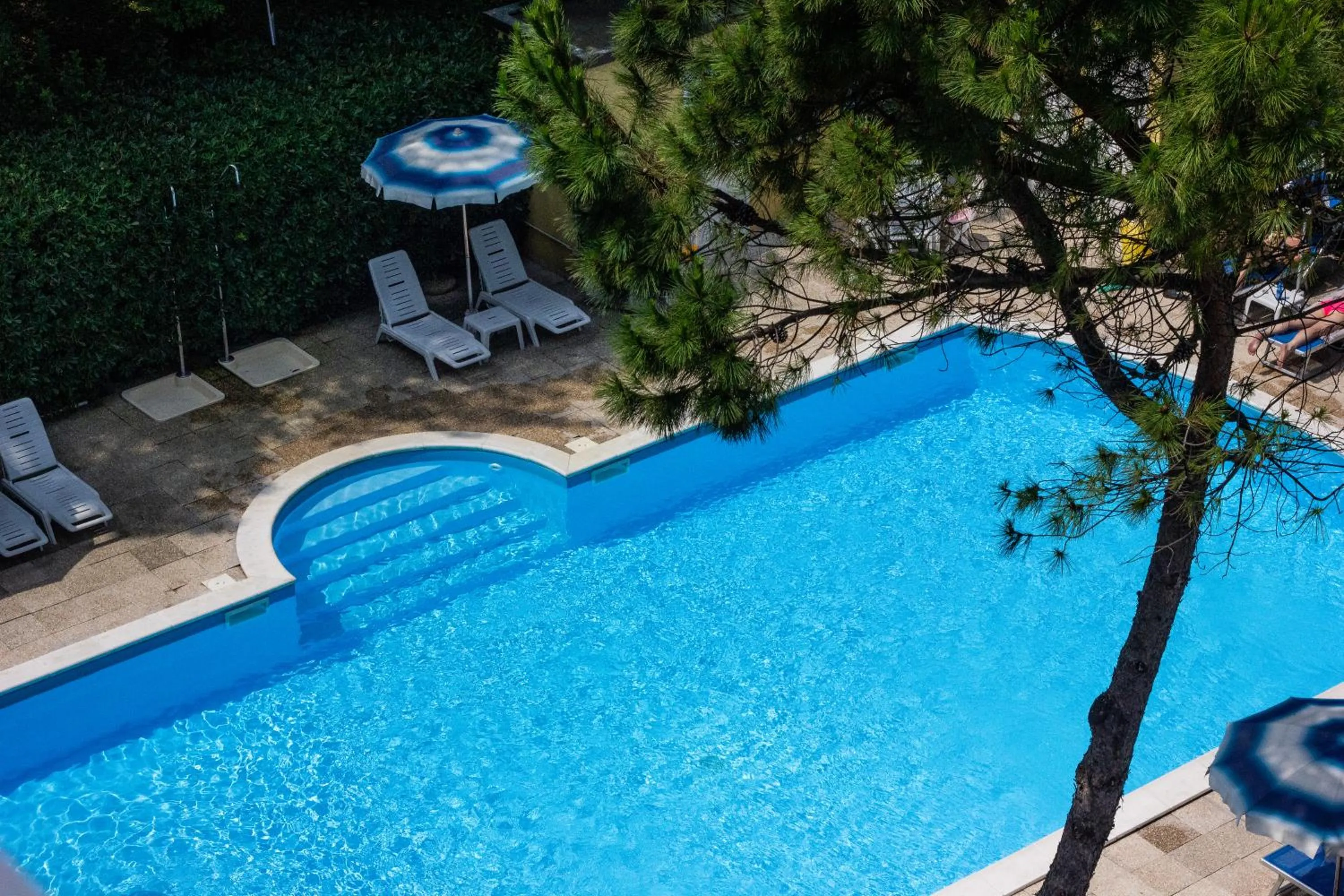 Garden in Hotel Bahama