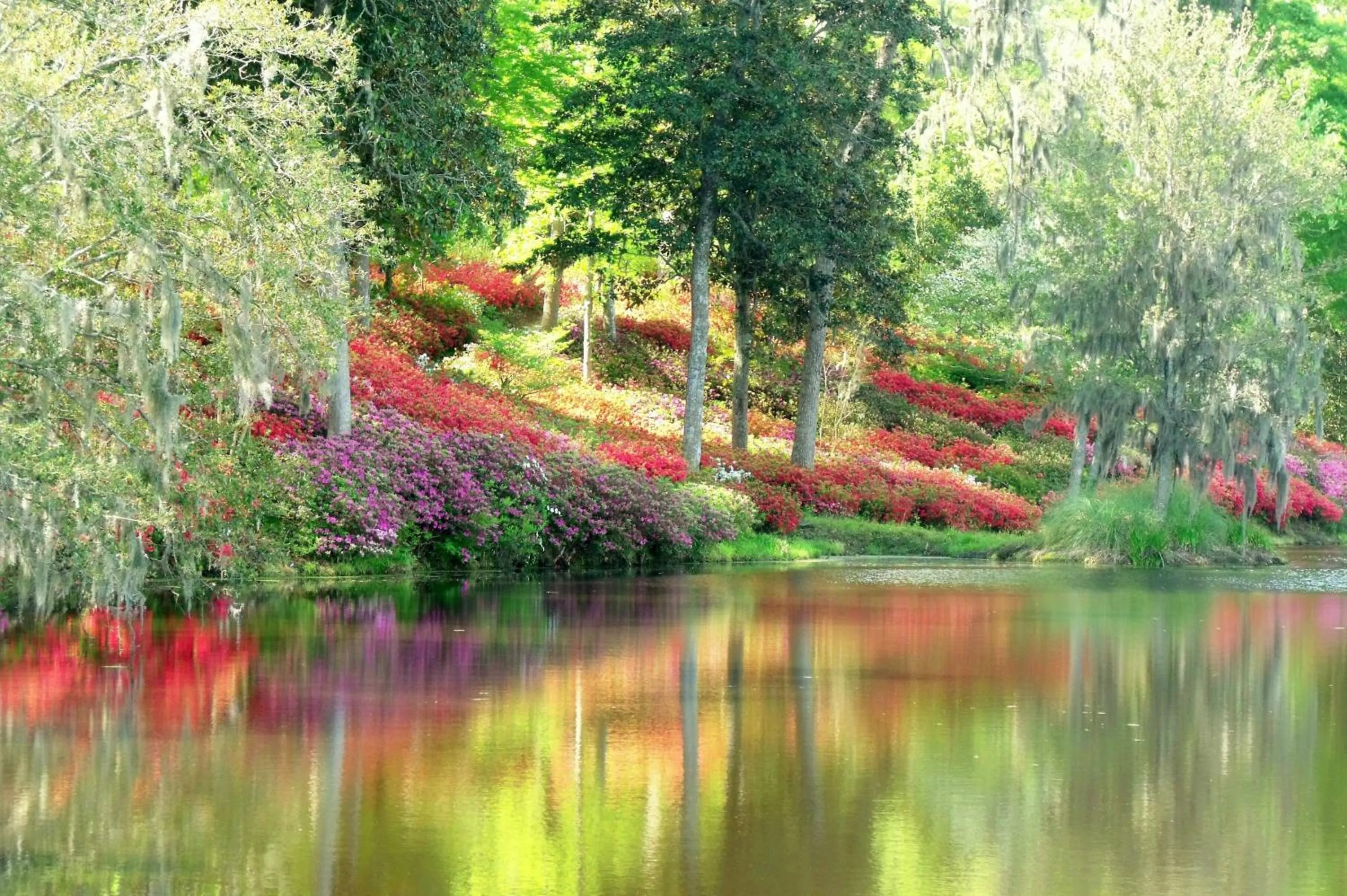 Facade/entrance in The Inn at Middleton Place