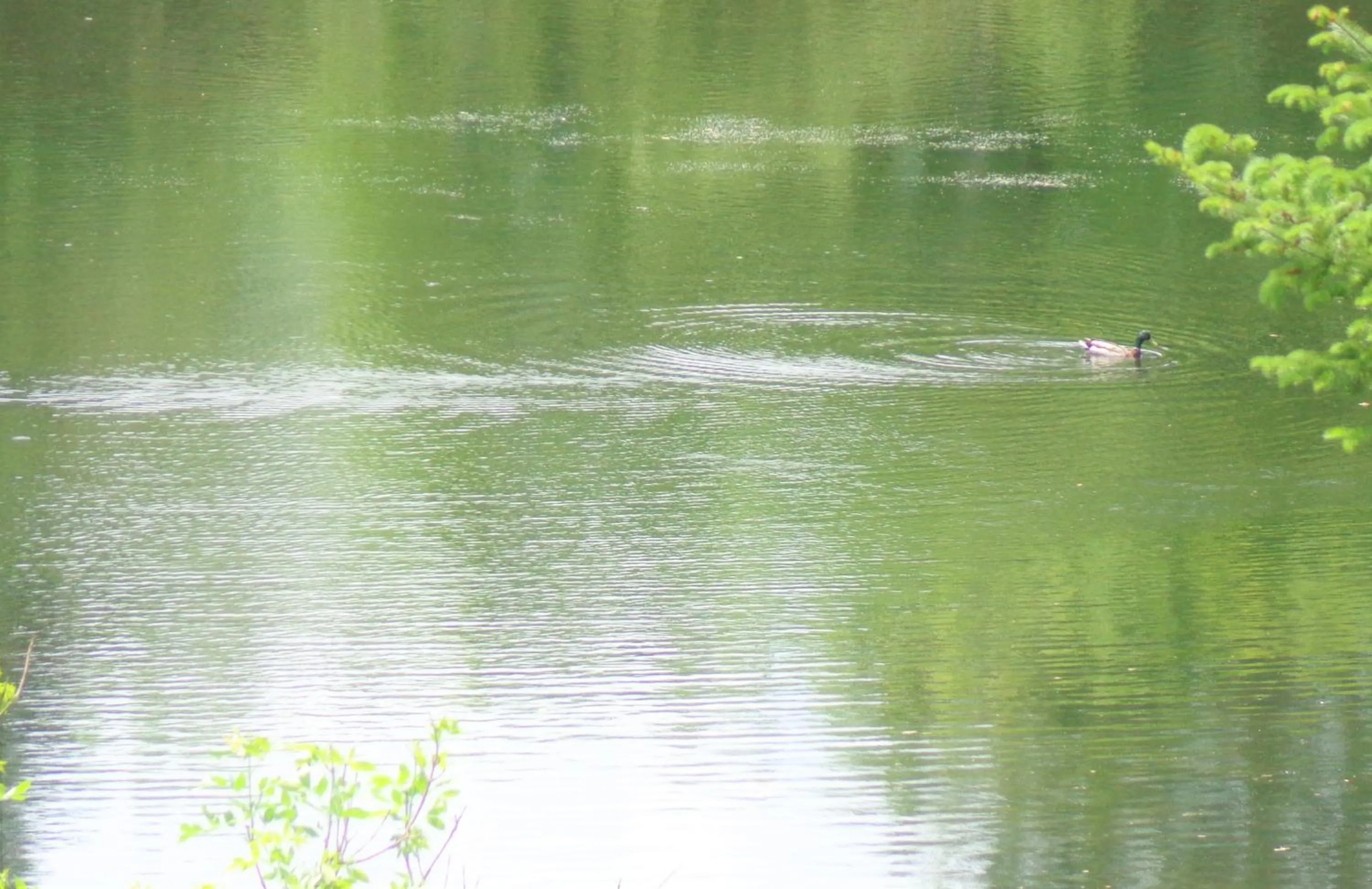 Natural landscape in Motel des Deux Lacs