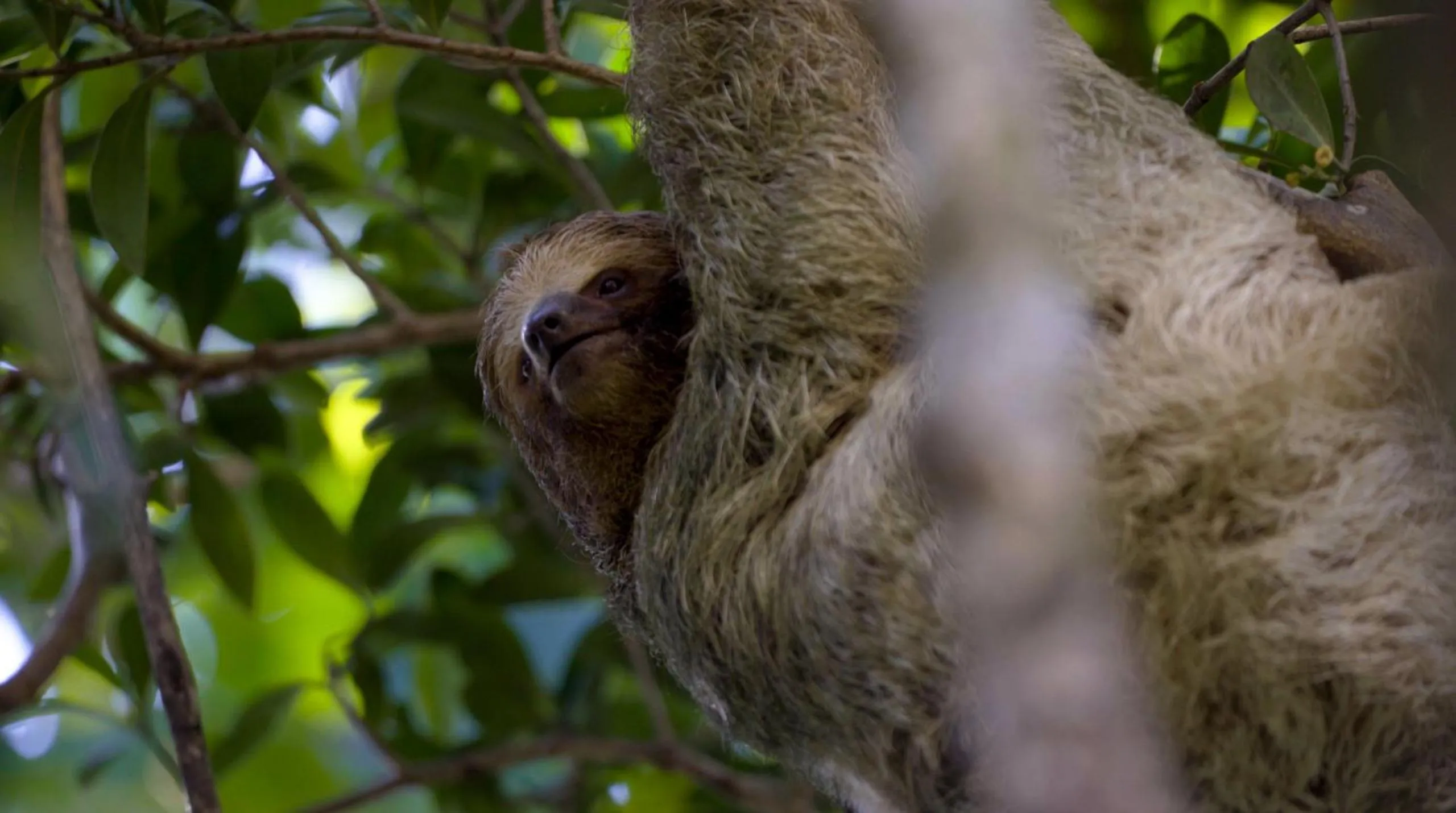Natural landscape in Hideaway Rio Celeste Hotel