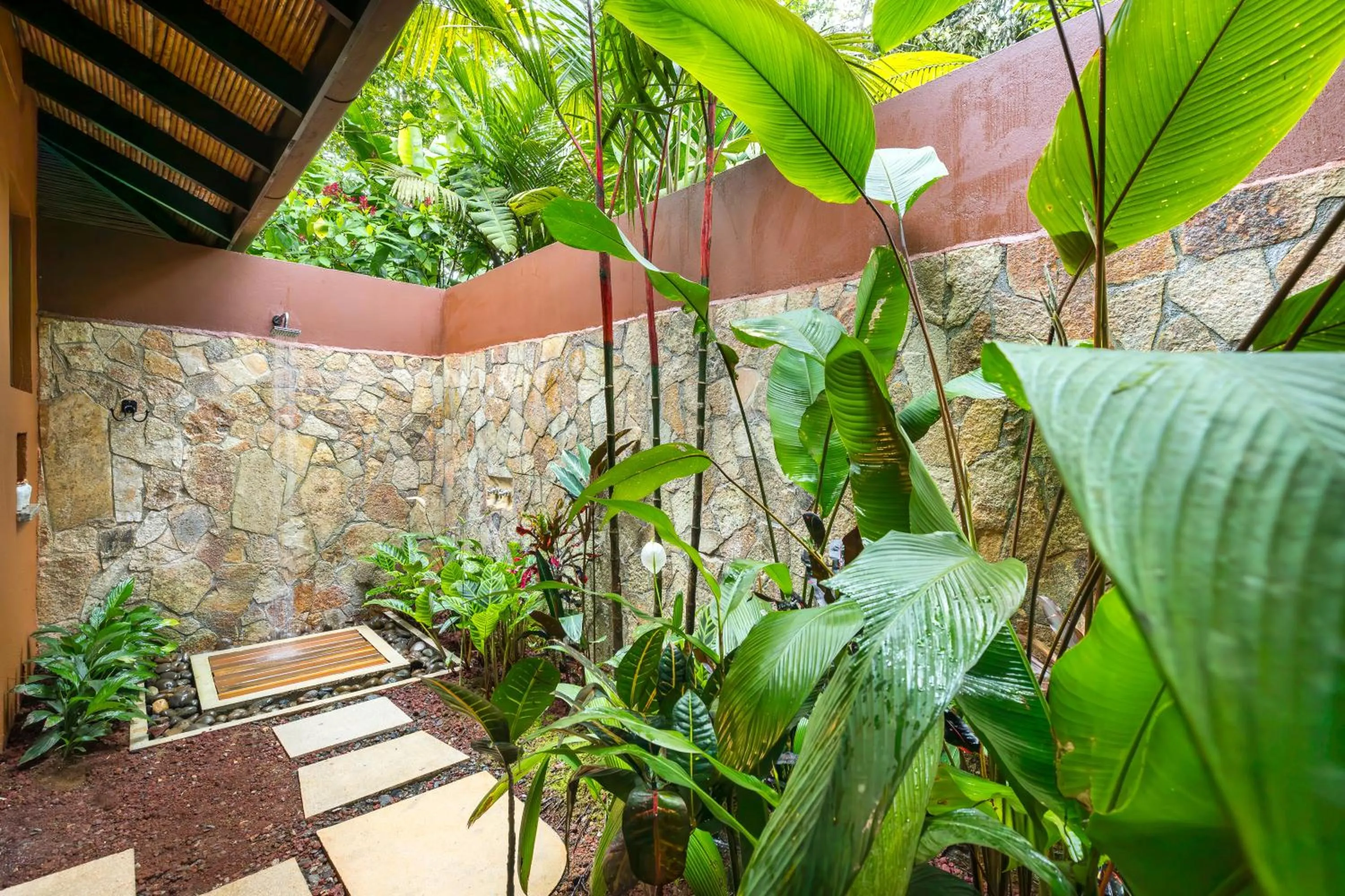 Natural landscape in Hideaway Rio Celeste Hotel