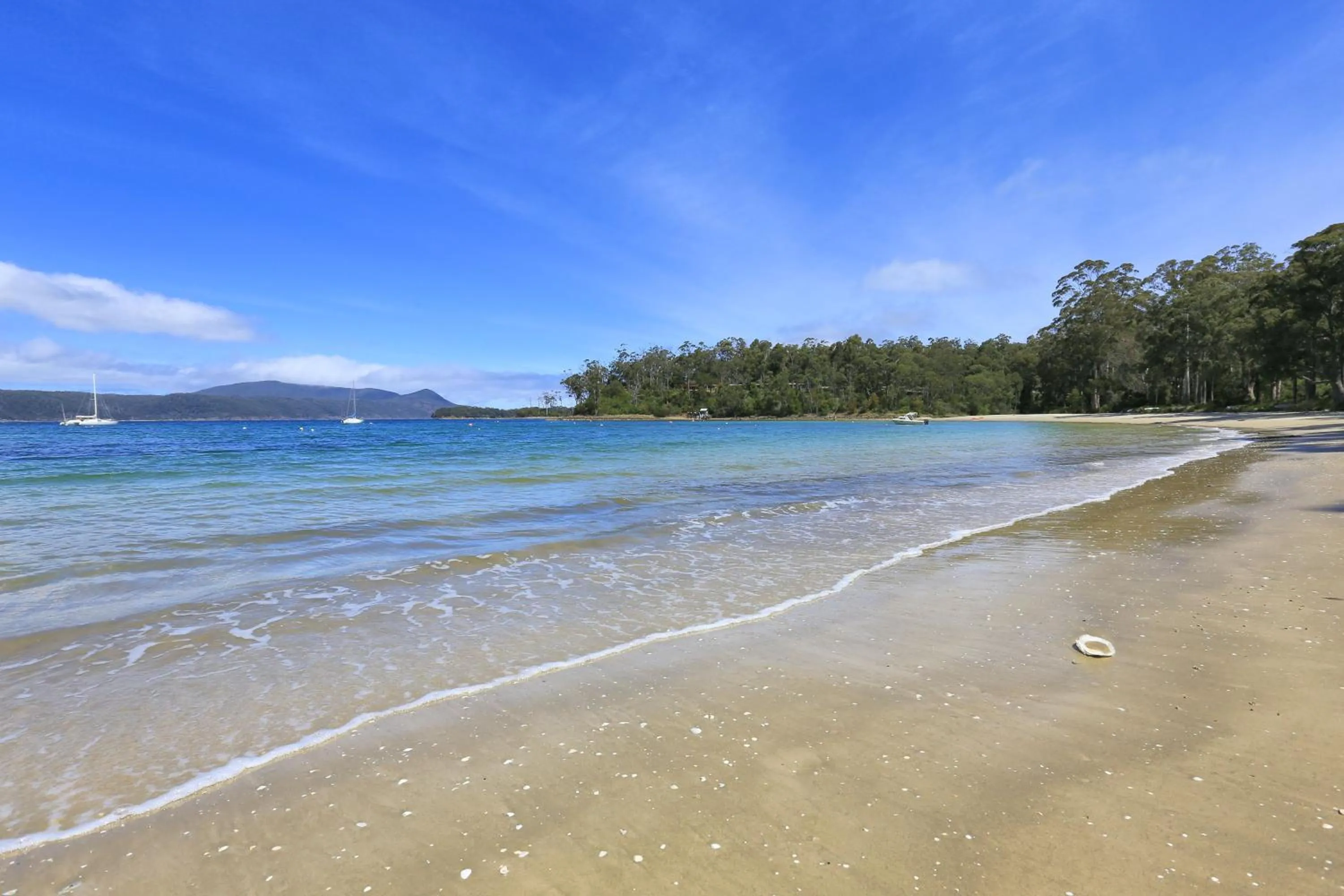Beach in Stewarts Bay Lodge