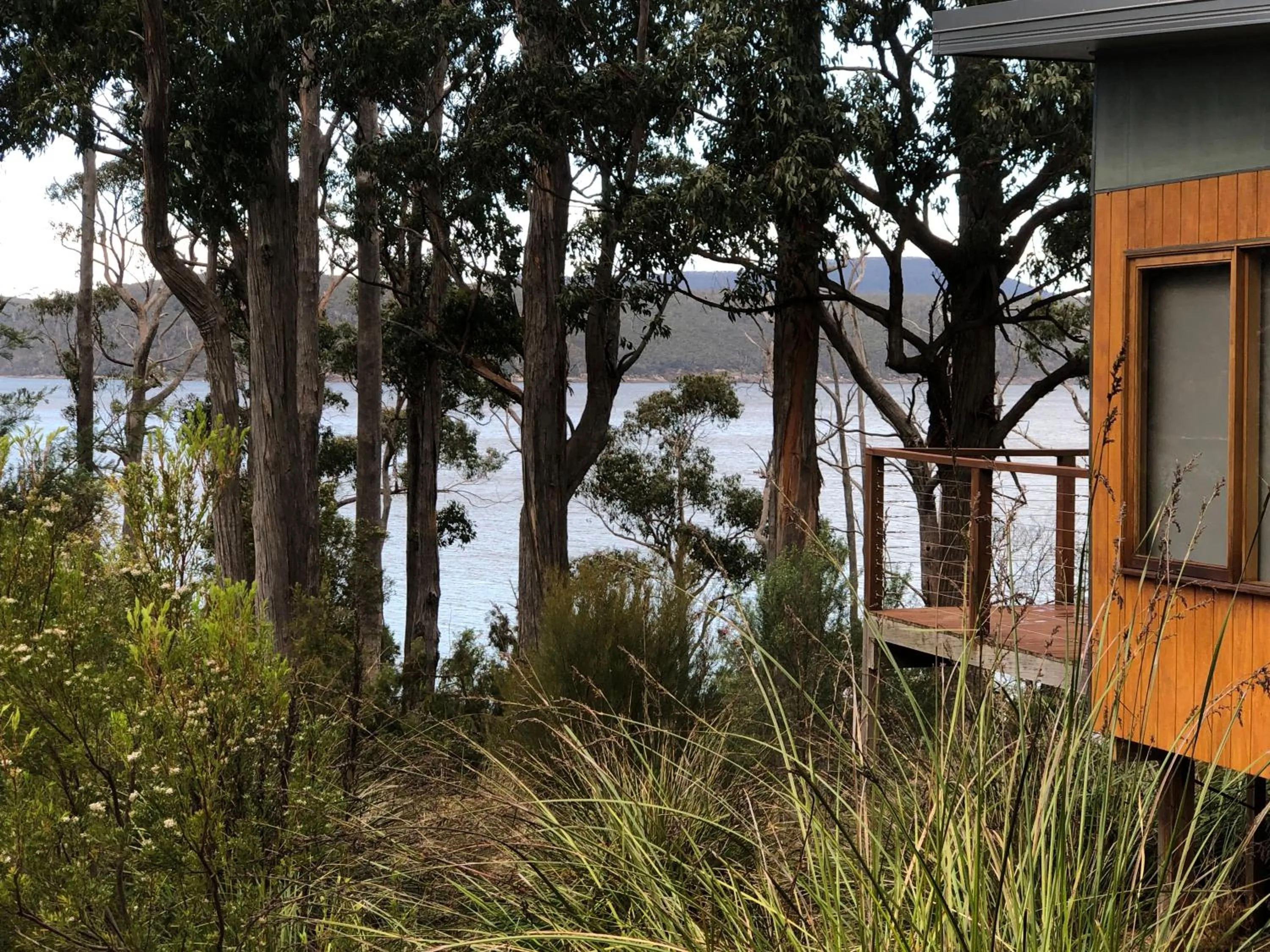 View (from property/room) in Stewarts Bay Lodge