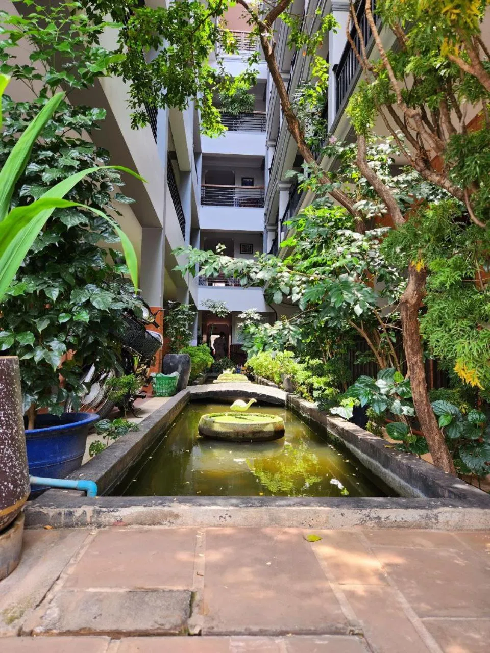 Day in Jasmine Lodge Siem Reap