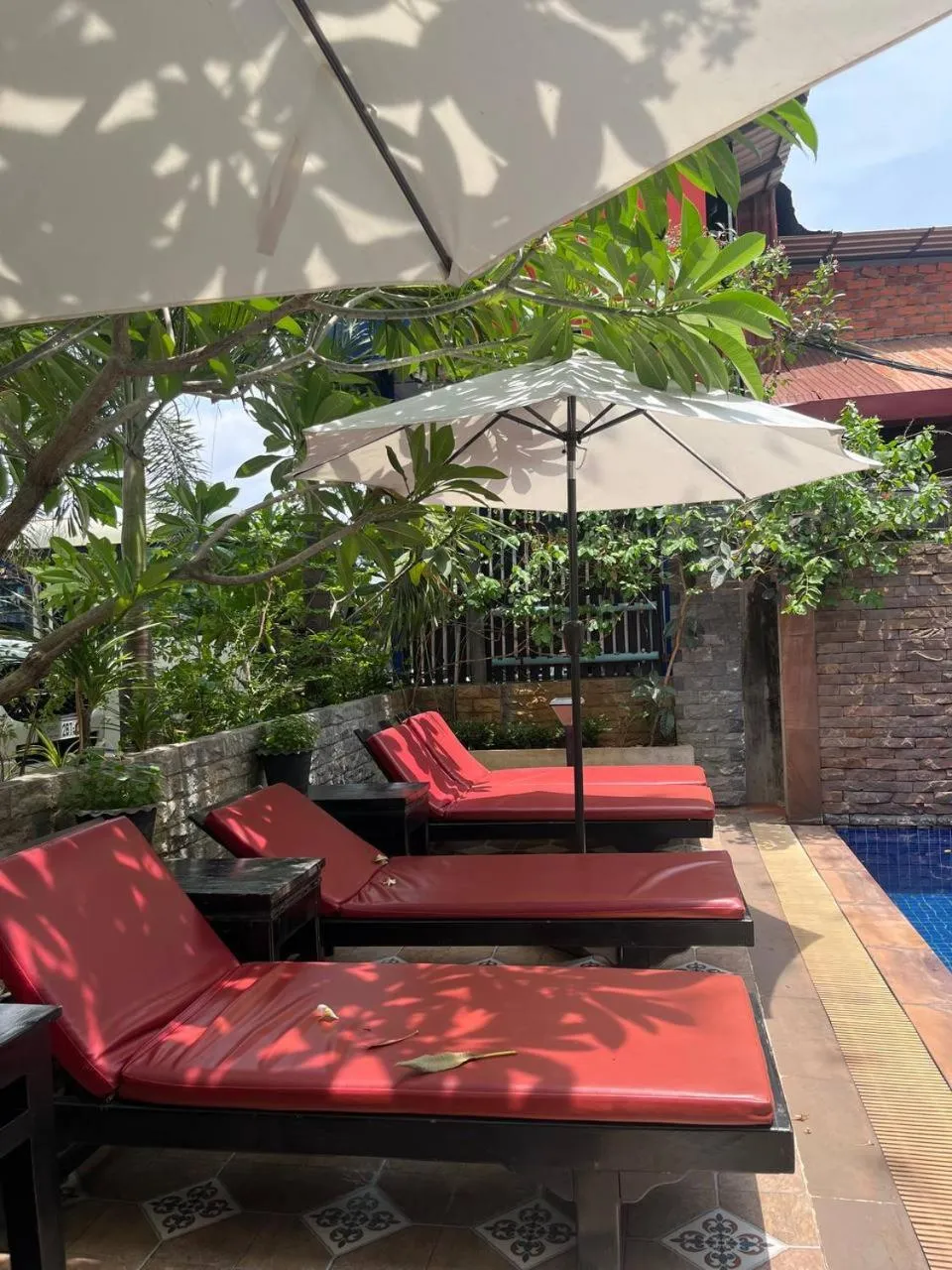 Restaurant/places to eat in Jasmine Lodge Siem Reap