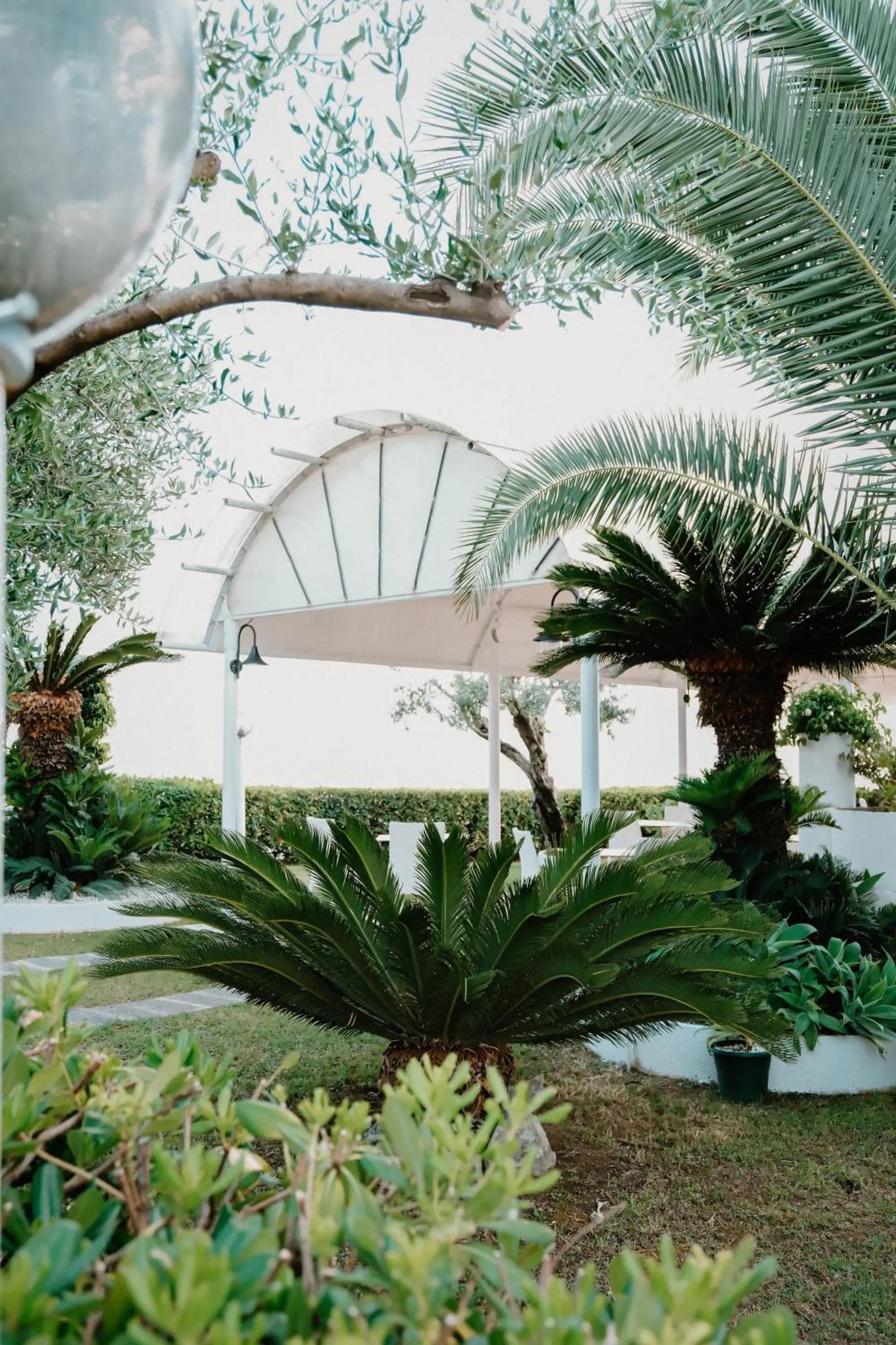 Natural landscape in Hotel Mediterraneo Sapri