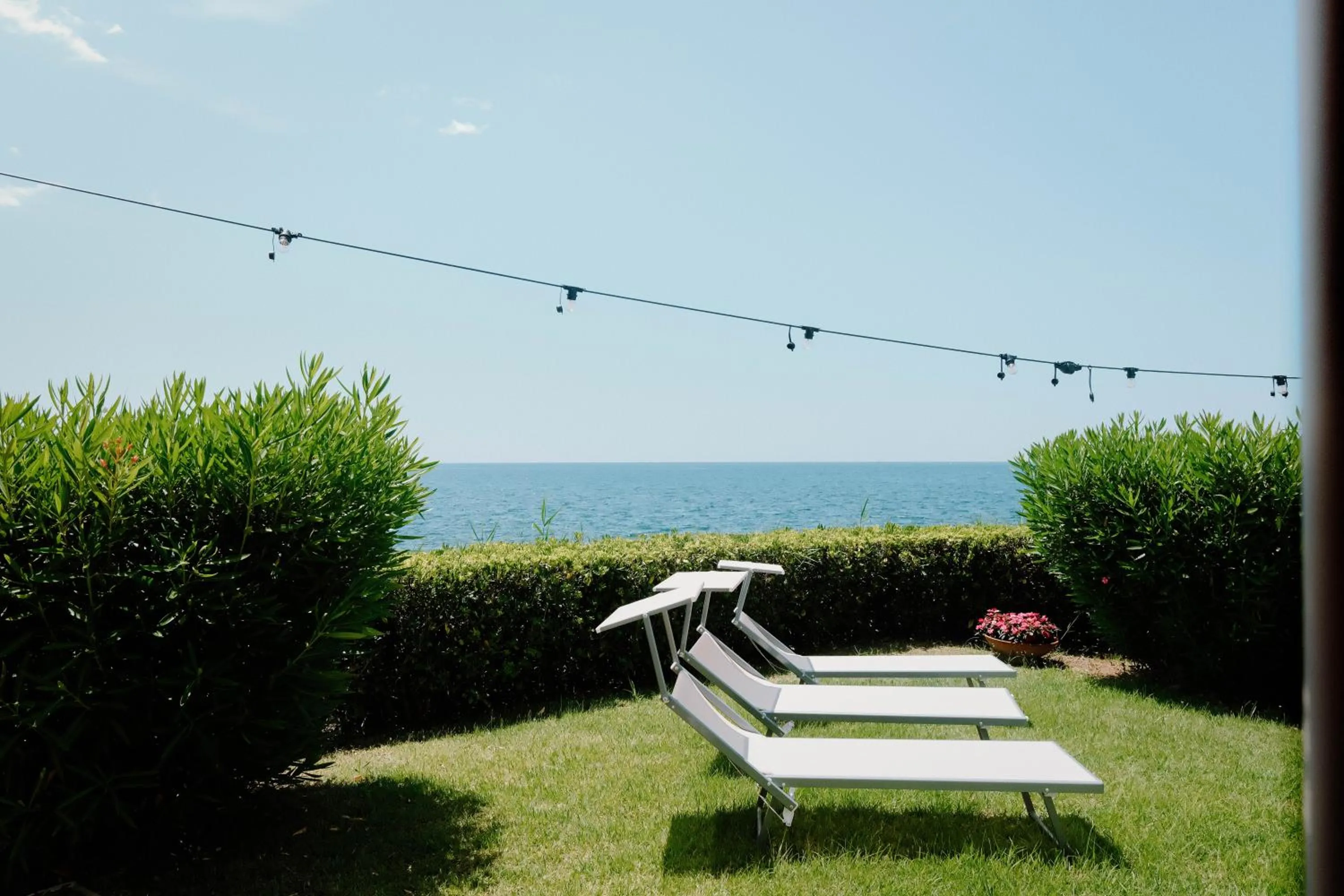 Garden in Hotel Mediterraneo Sapri