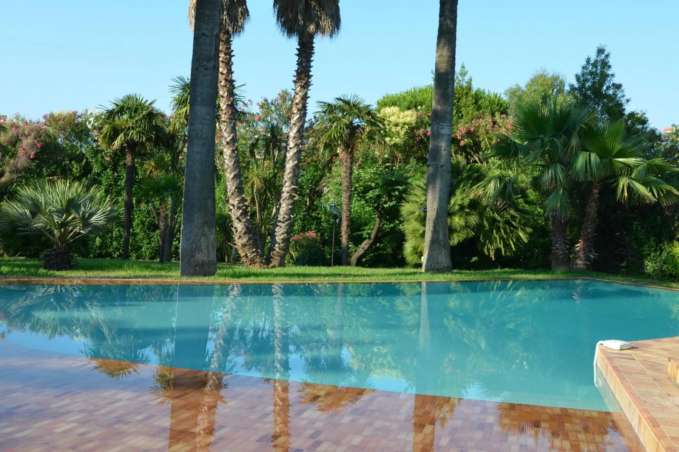 Day in Hotel des Mimosas