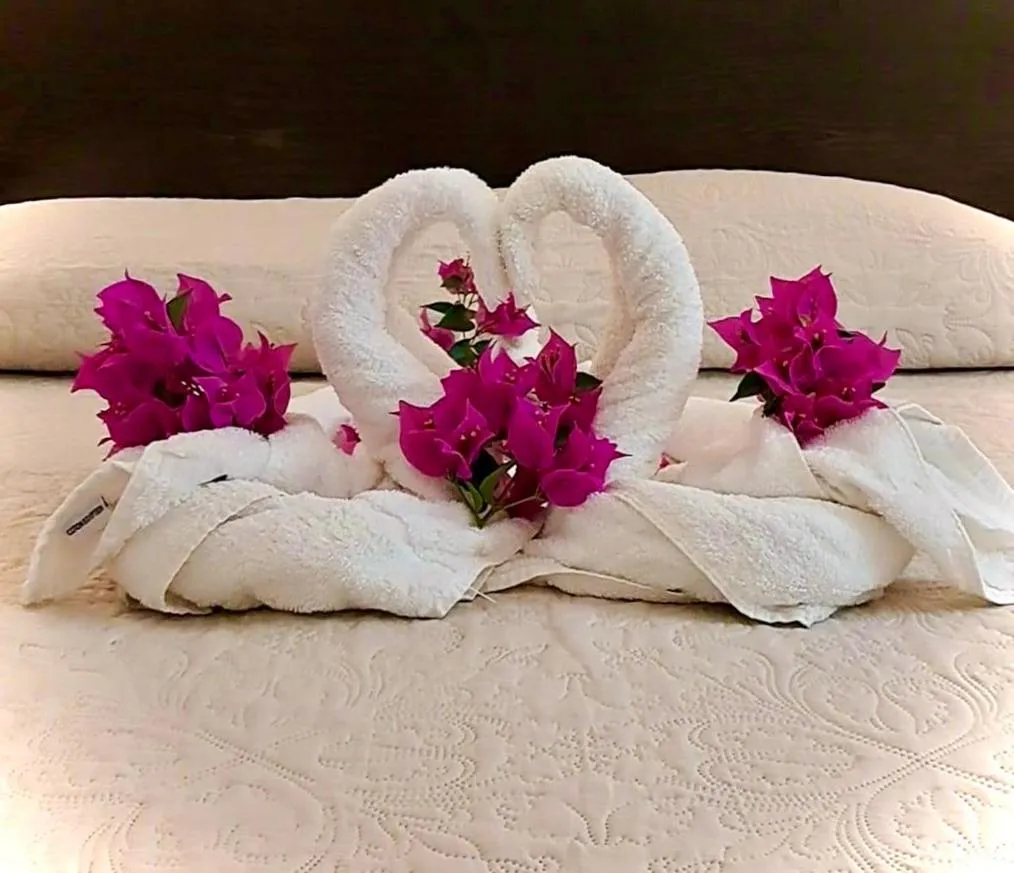 Bed in Hotel des Mimosas