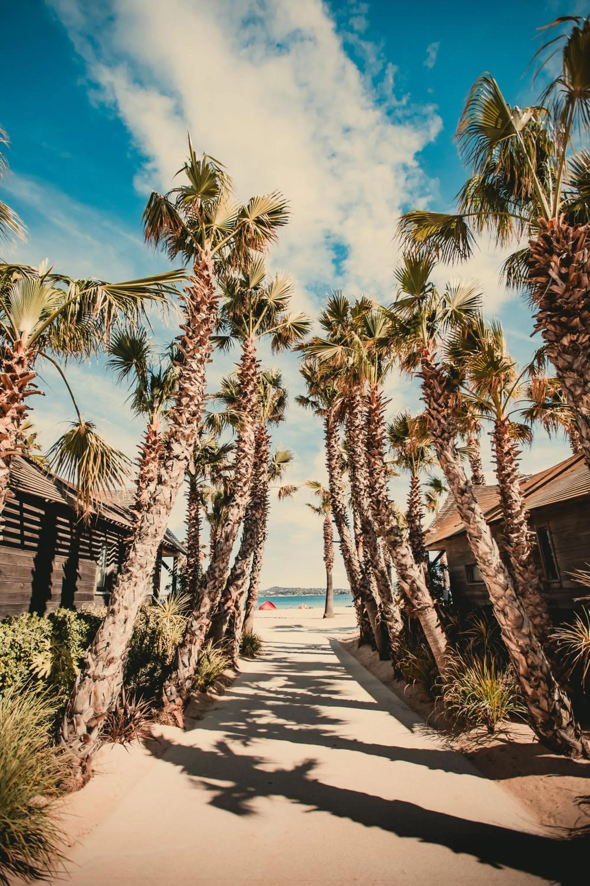 Property building in Les Prairies de la Mer