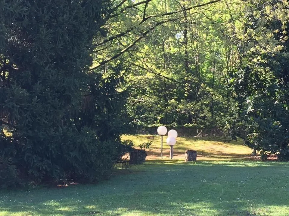 View (from property/room) in Bed&Garden