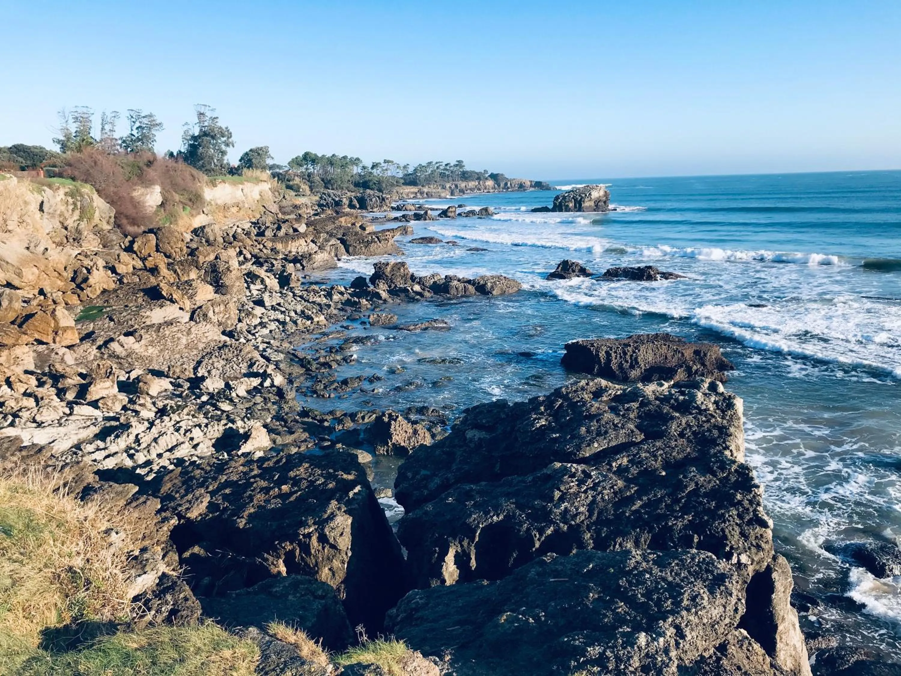 Natural landscape in Hotel Las Olas