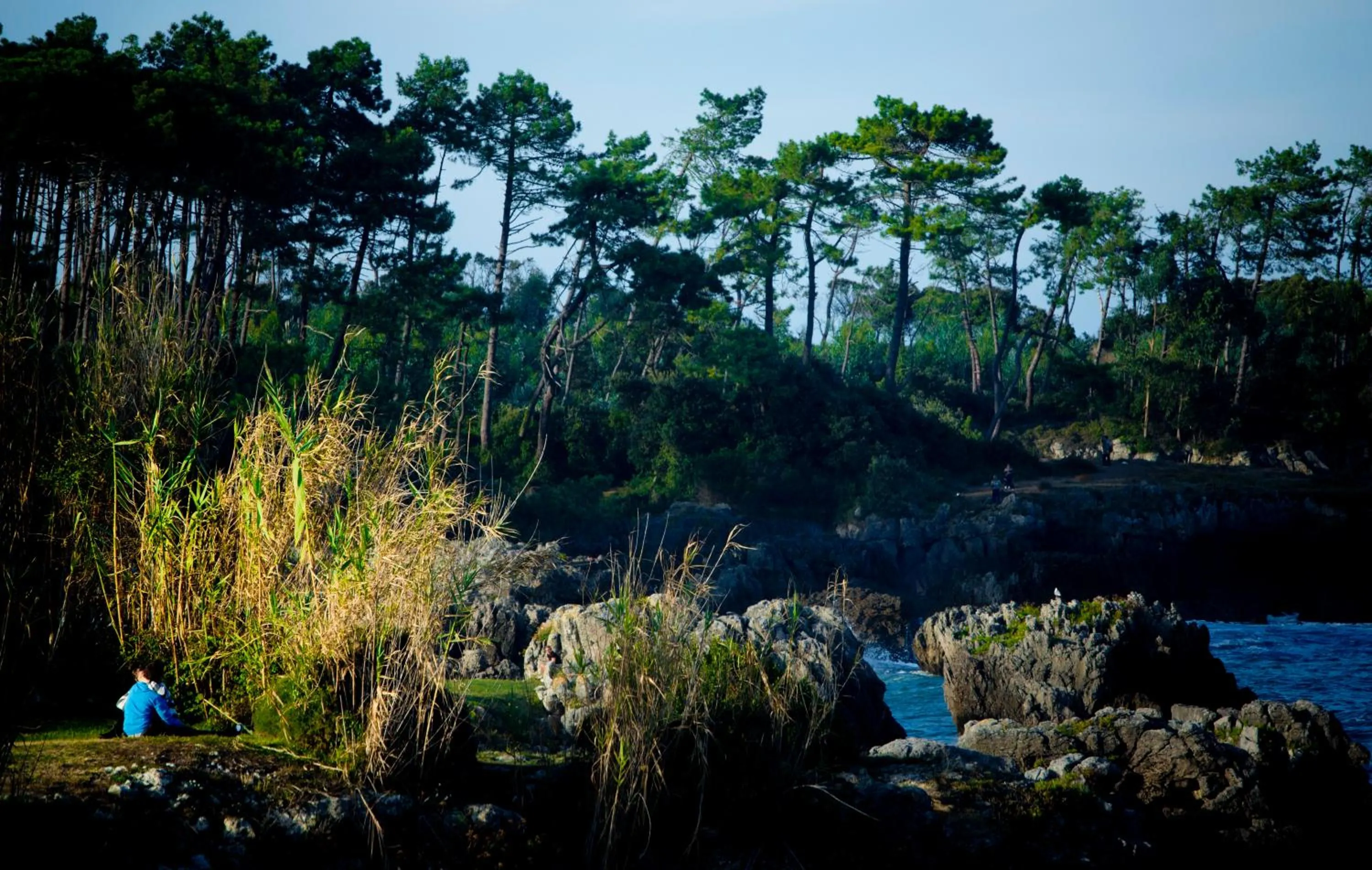 Area and facilities in Hotel Las Olas