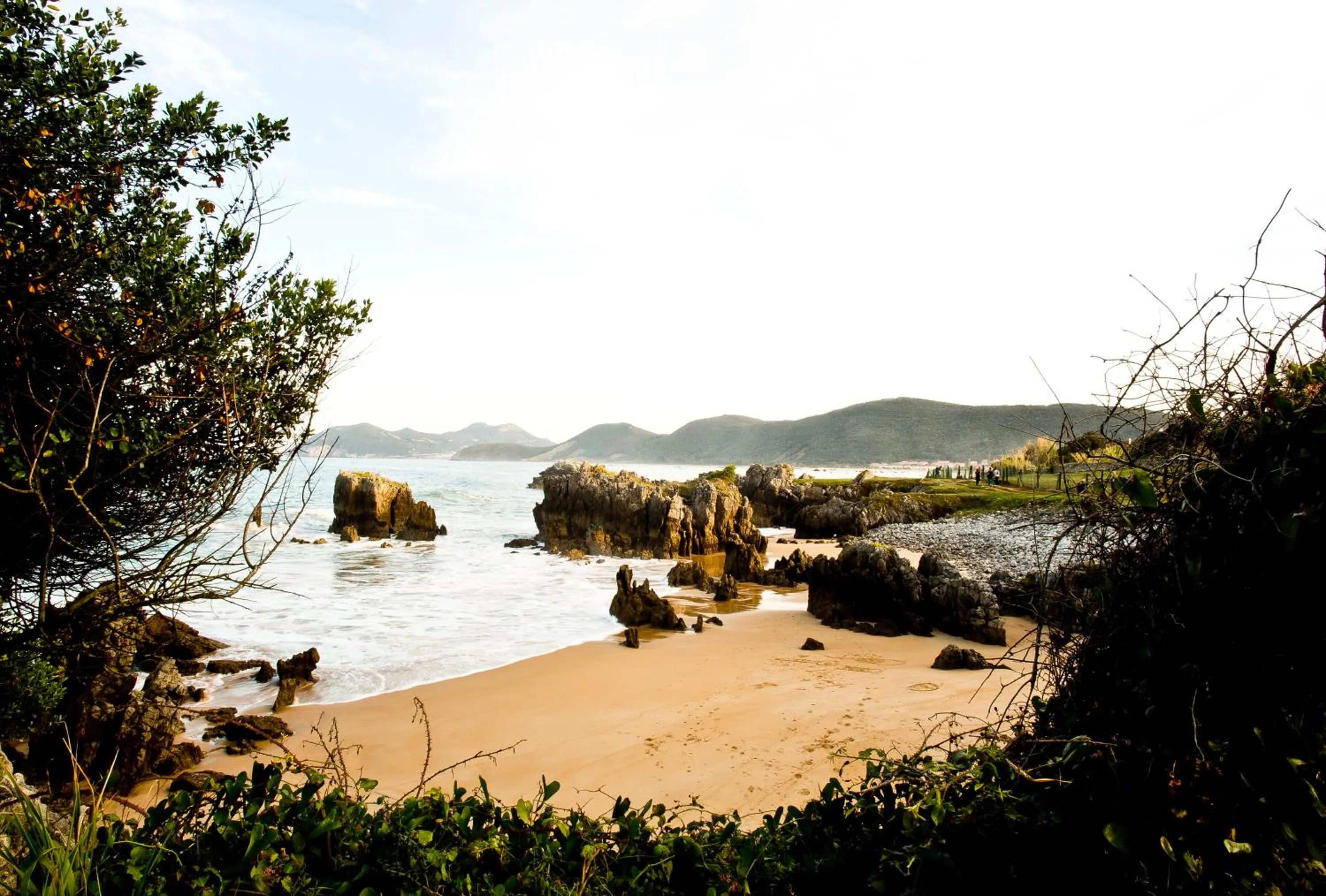 Area and facilities in Hotel Las Olas