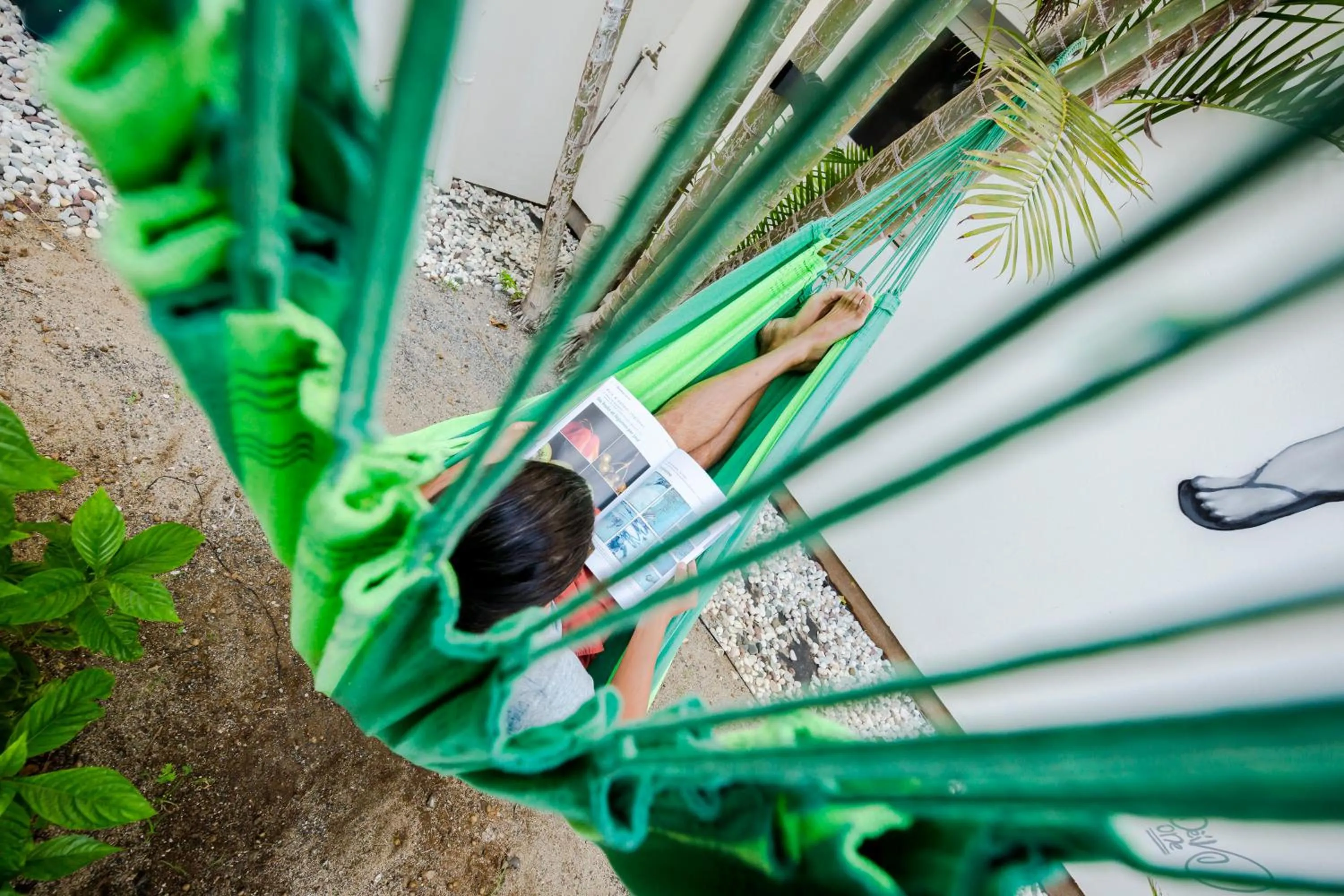 Garden in Hôtel Le Grand Bleu