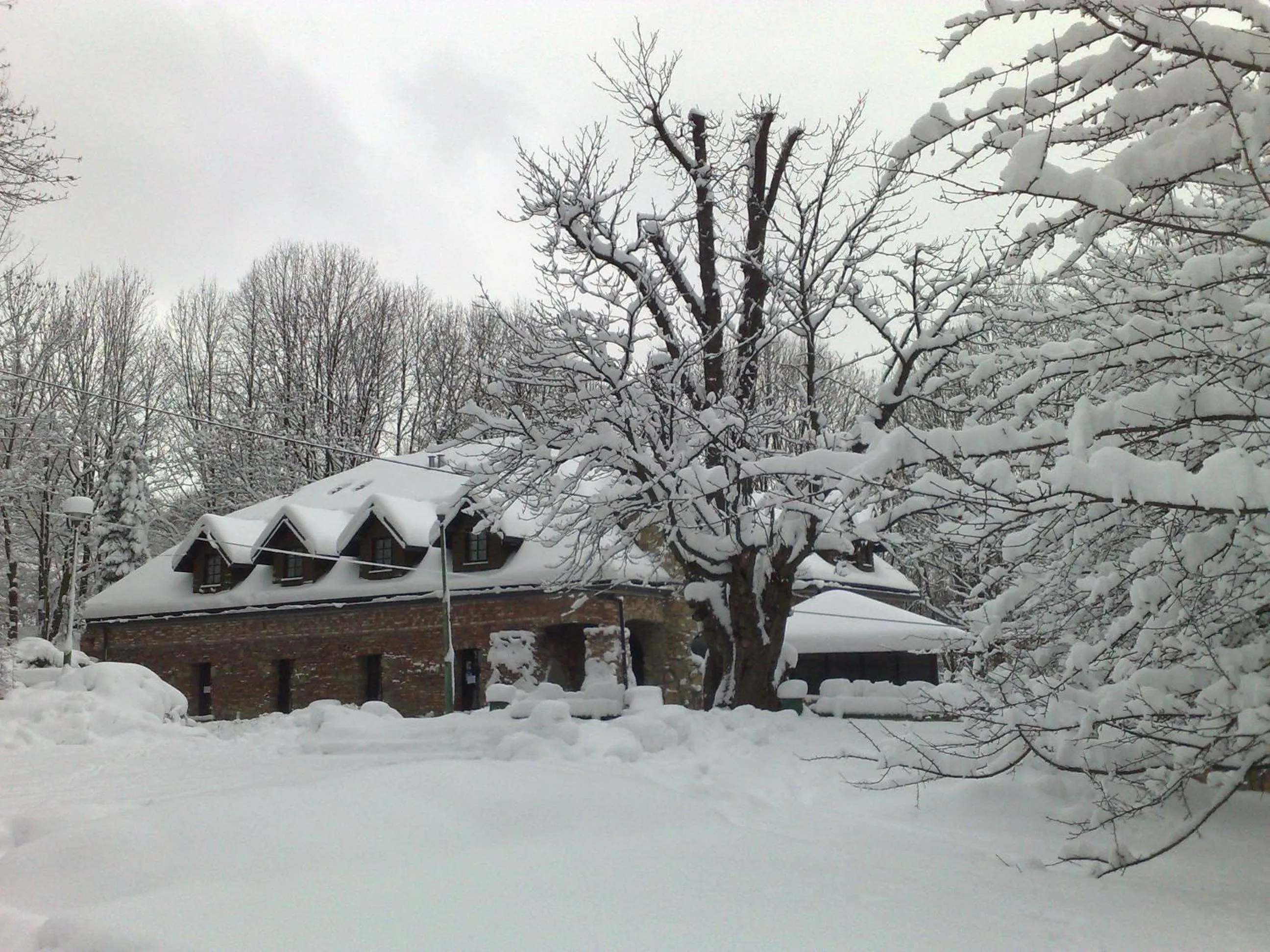 Area and facilities in Hotel Podzamcze