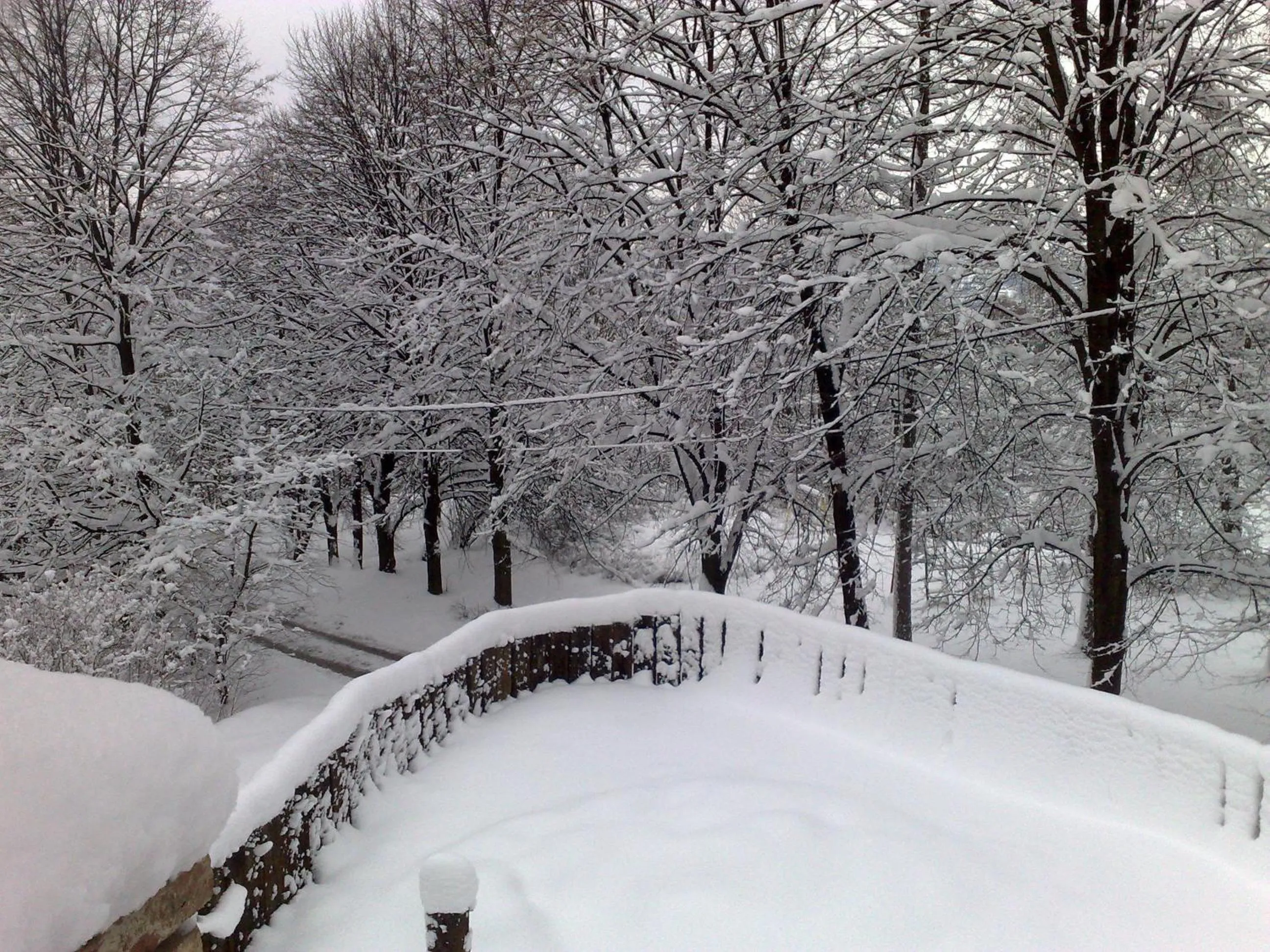 Balcony/Terrace in Hotel Podzamcze