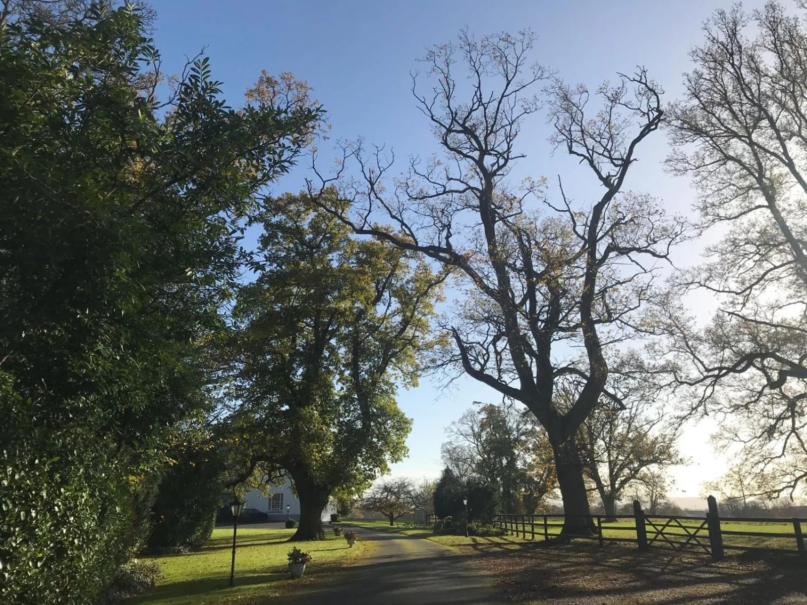 Decorative detail in Leixlip Manor Hotel