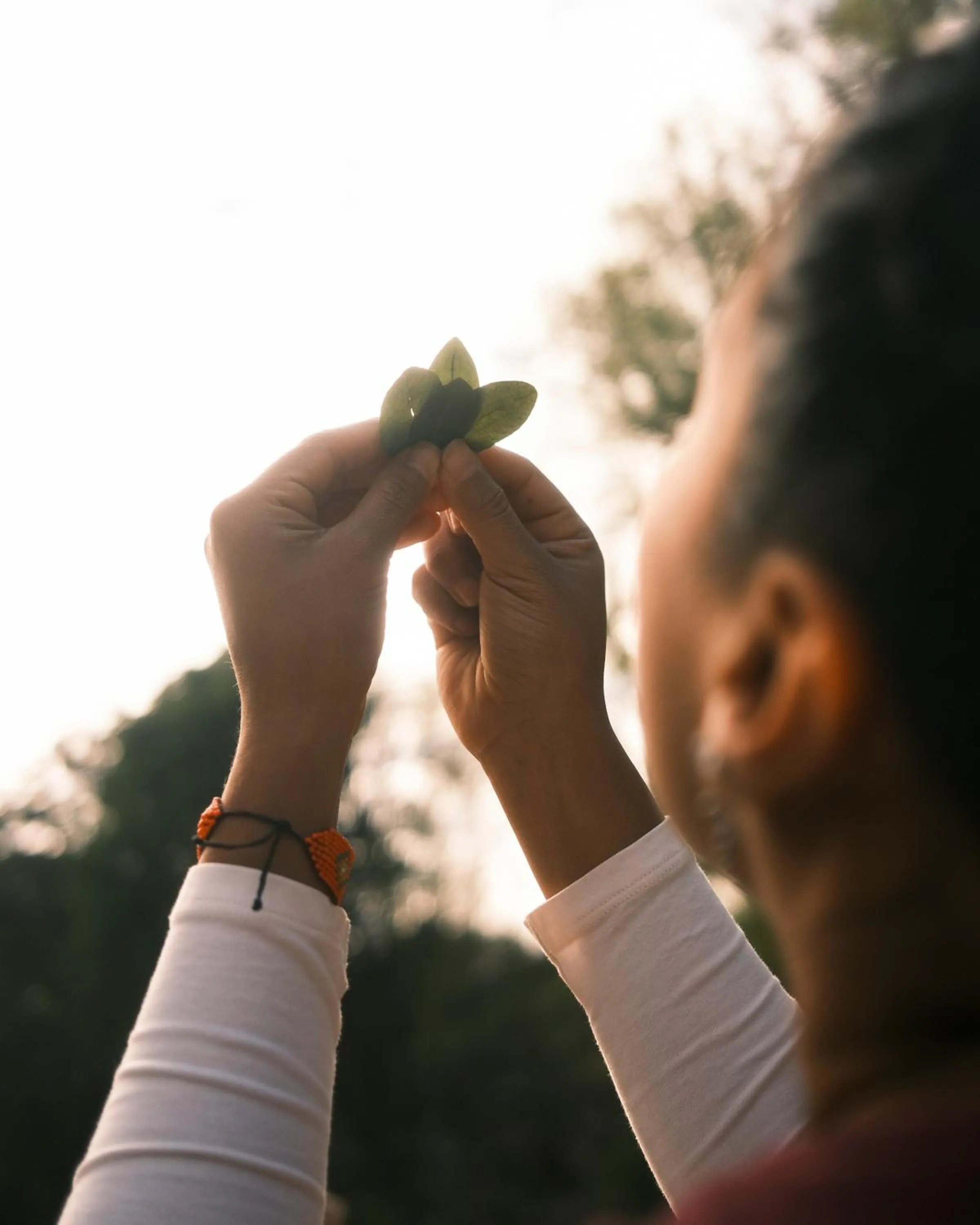 Activities in Rio Sagrado, A Belmond Hotel, Sacred Valley