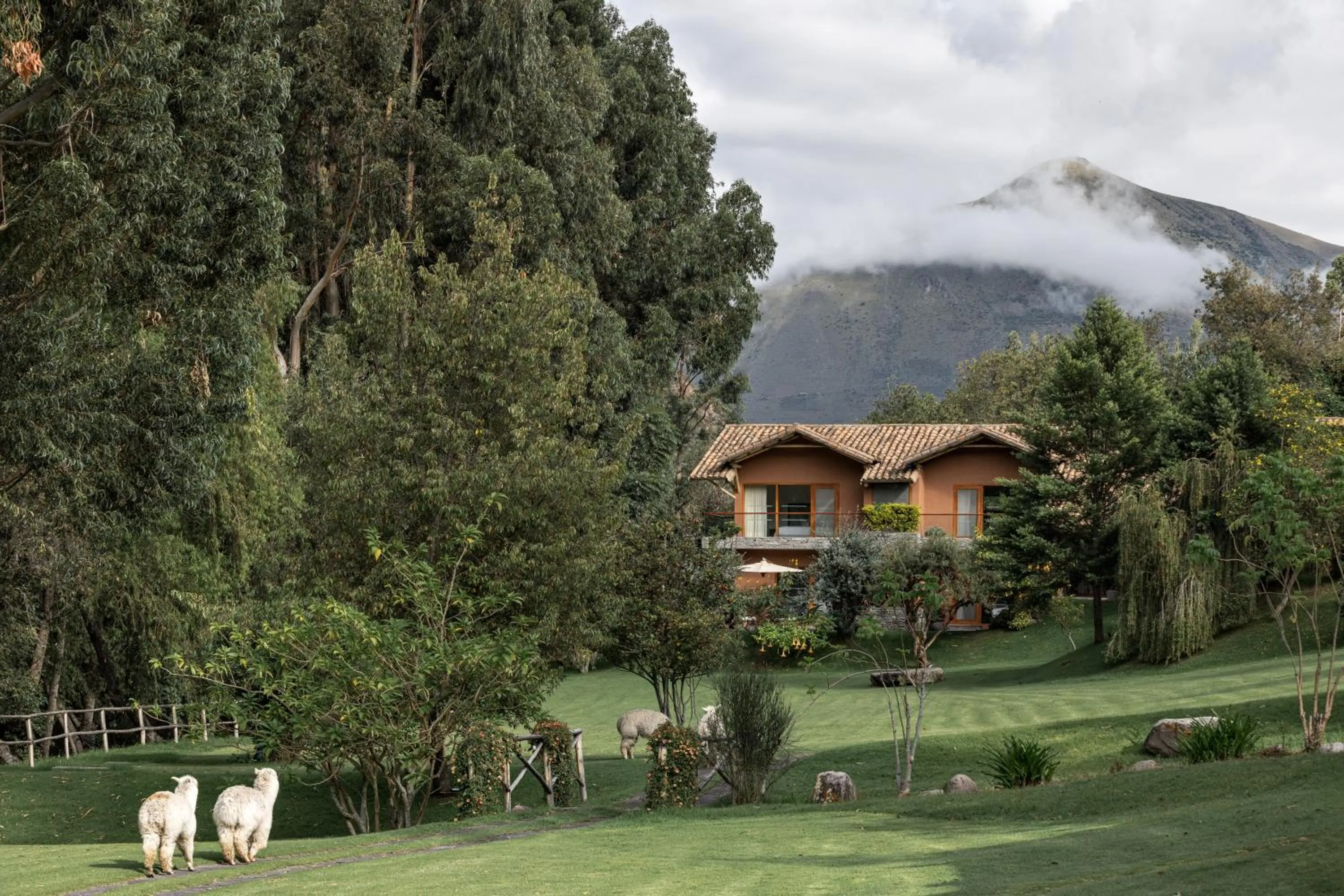Natural landscape in Rio Sagrado, A Belmond Hotel, Sacred Valley