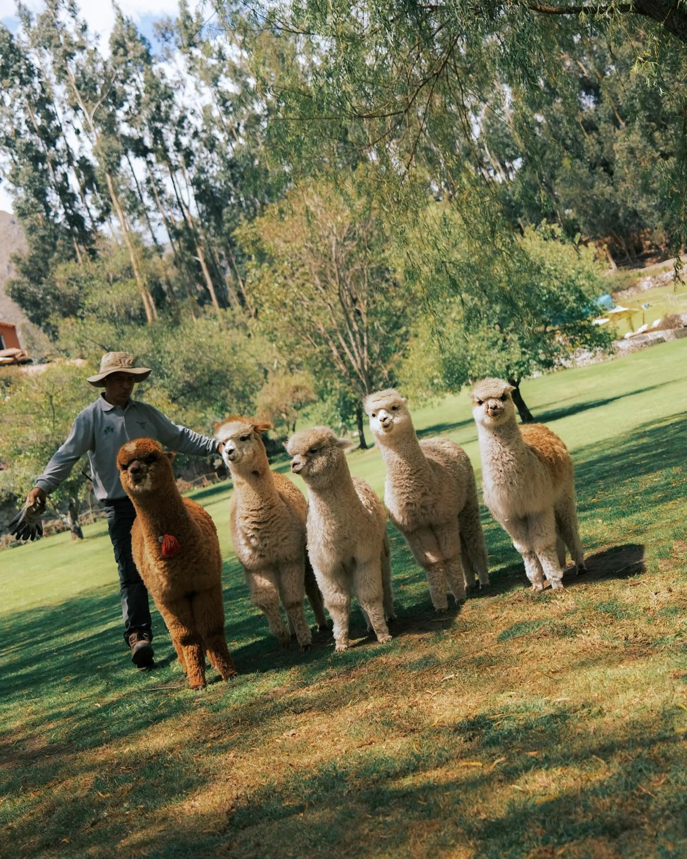 Activities in Rio Sagrado, A Belmond Hotel, Sacred Valley