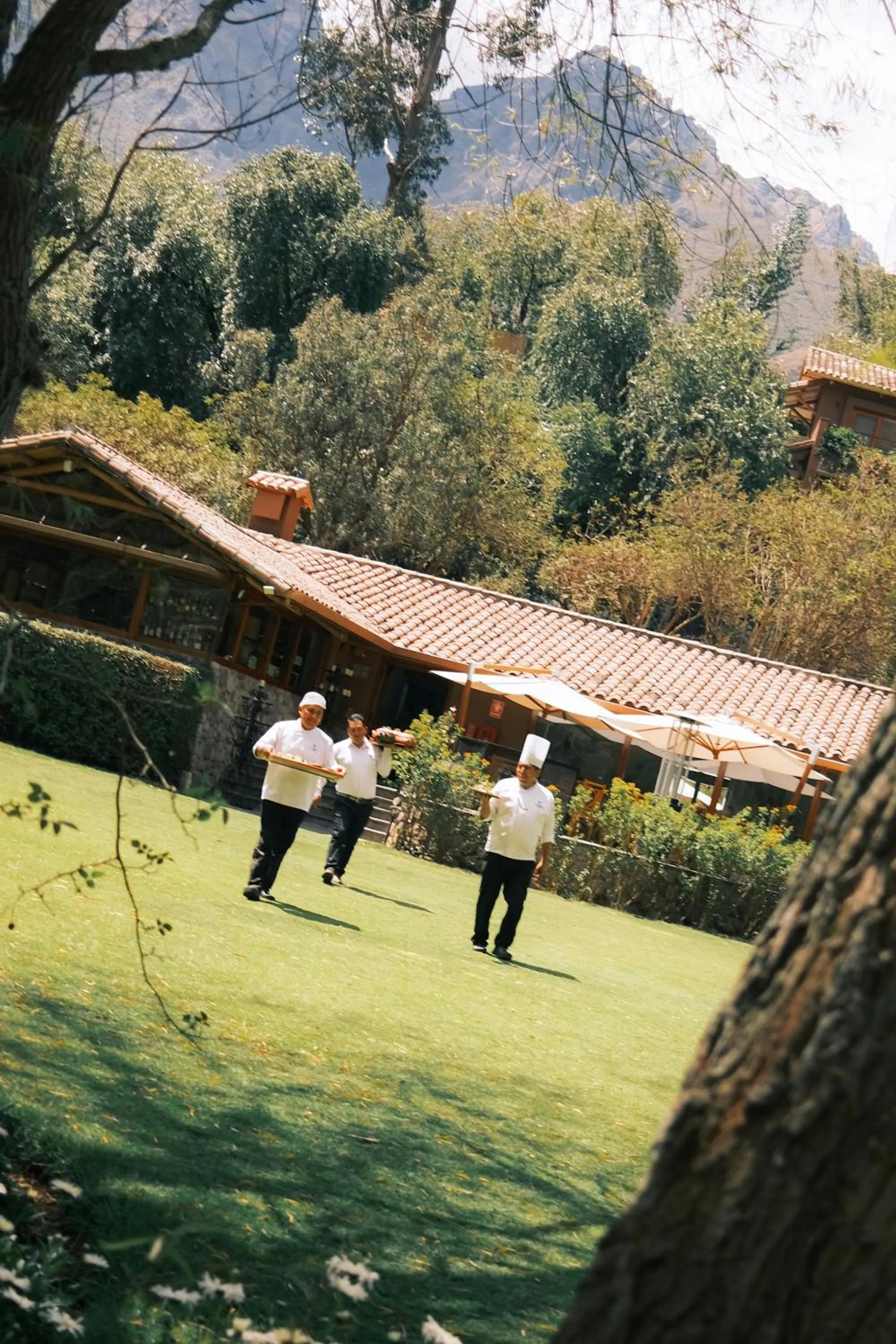 Natural landscape in Rio Sagrado, A Belmond Hotel, Sacred Valley