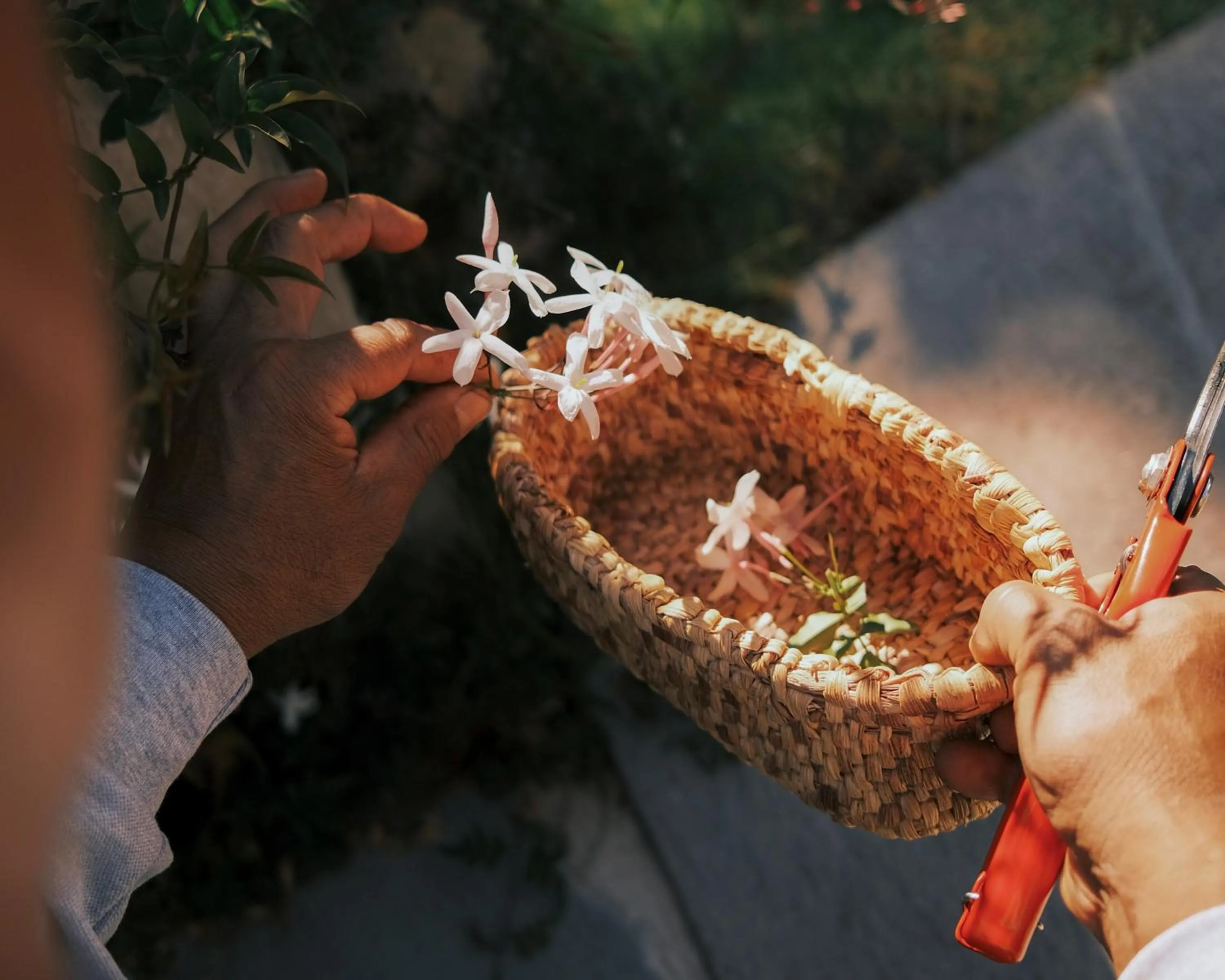 Activities in Rio Sagrado, A Belmond Hotel, Sacred Valley