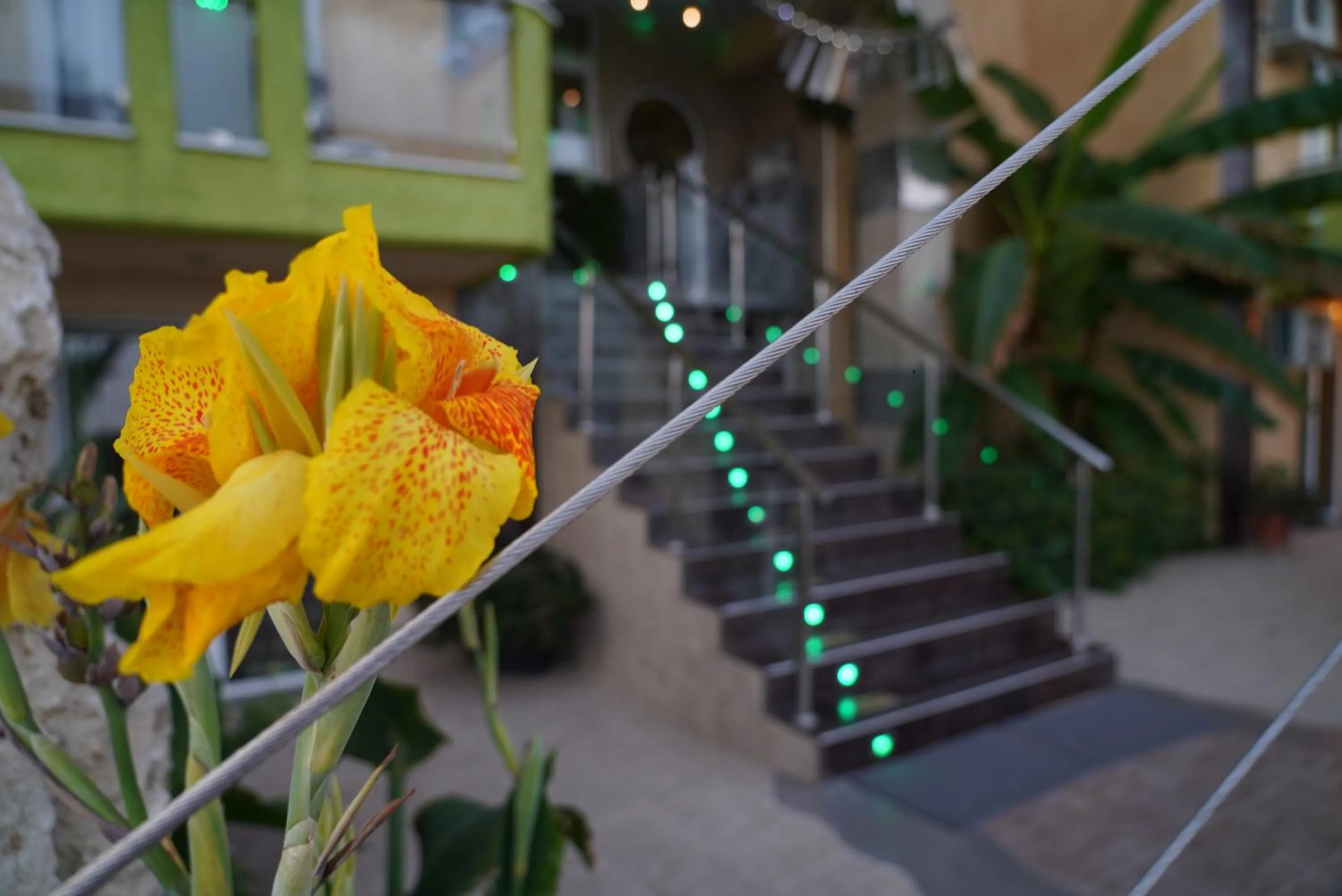 Facade/entrance in Lilalo Ηotel