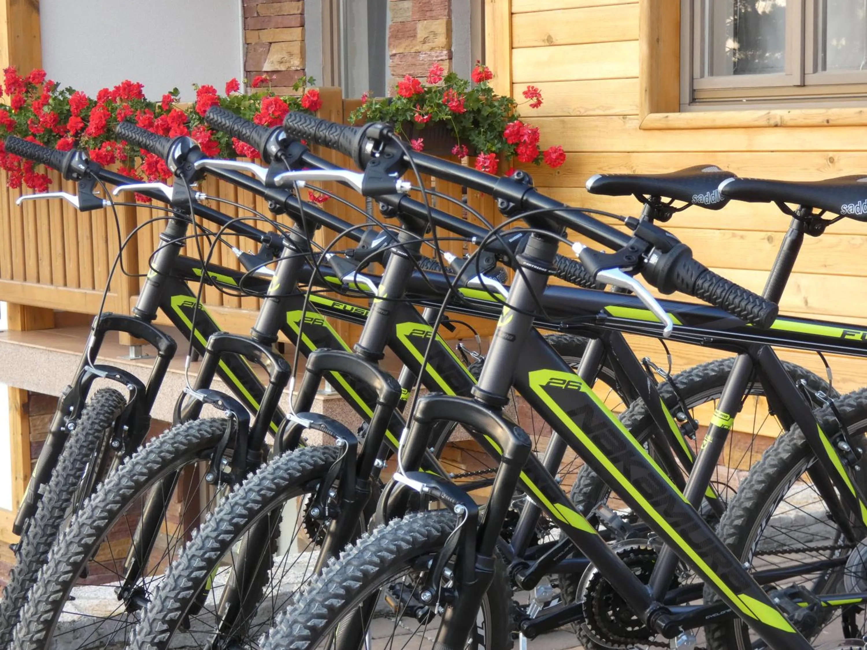 Cycling in Villa Natural Wood