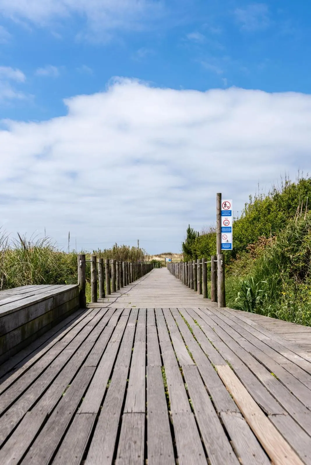 Neighbourhood in Madalena Beach Apartment by MP