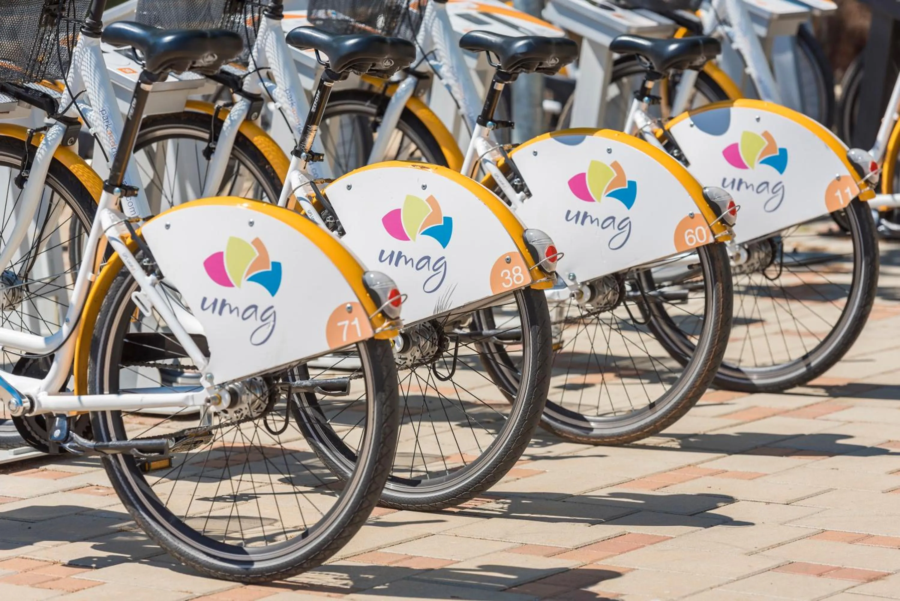 Cycling in Apartments Amfora Plava Laguna