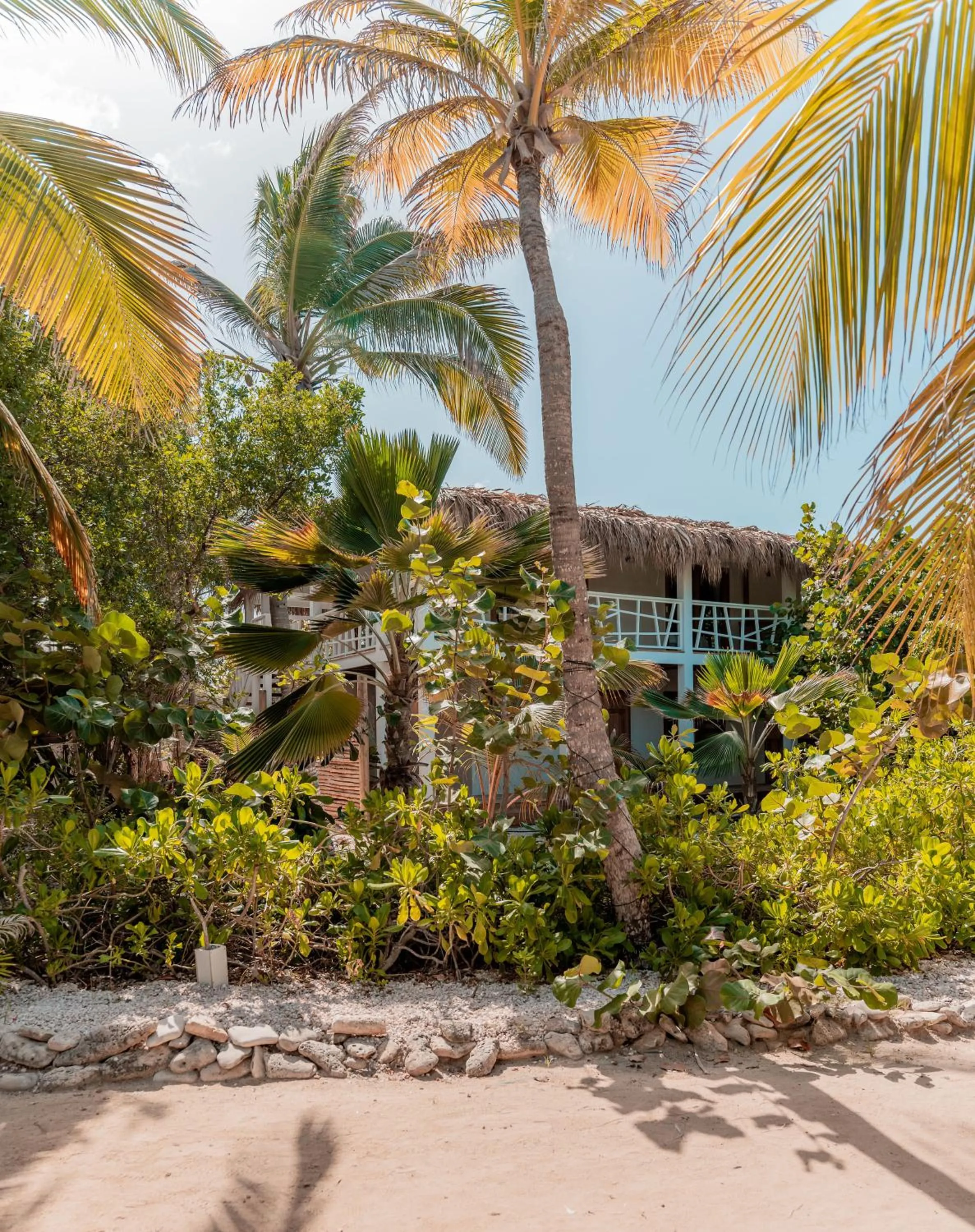 Garden in Sorobon Luxury Beach Resort