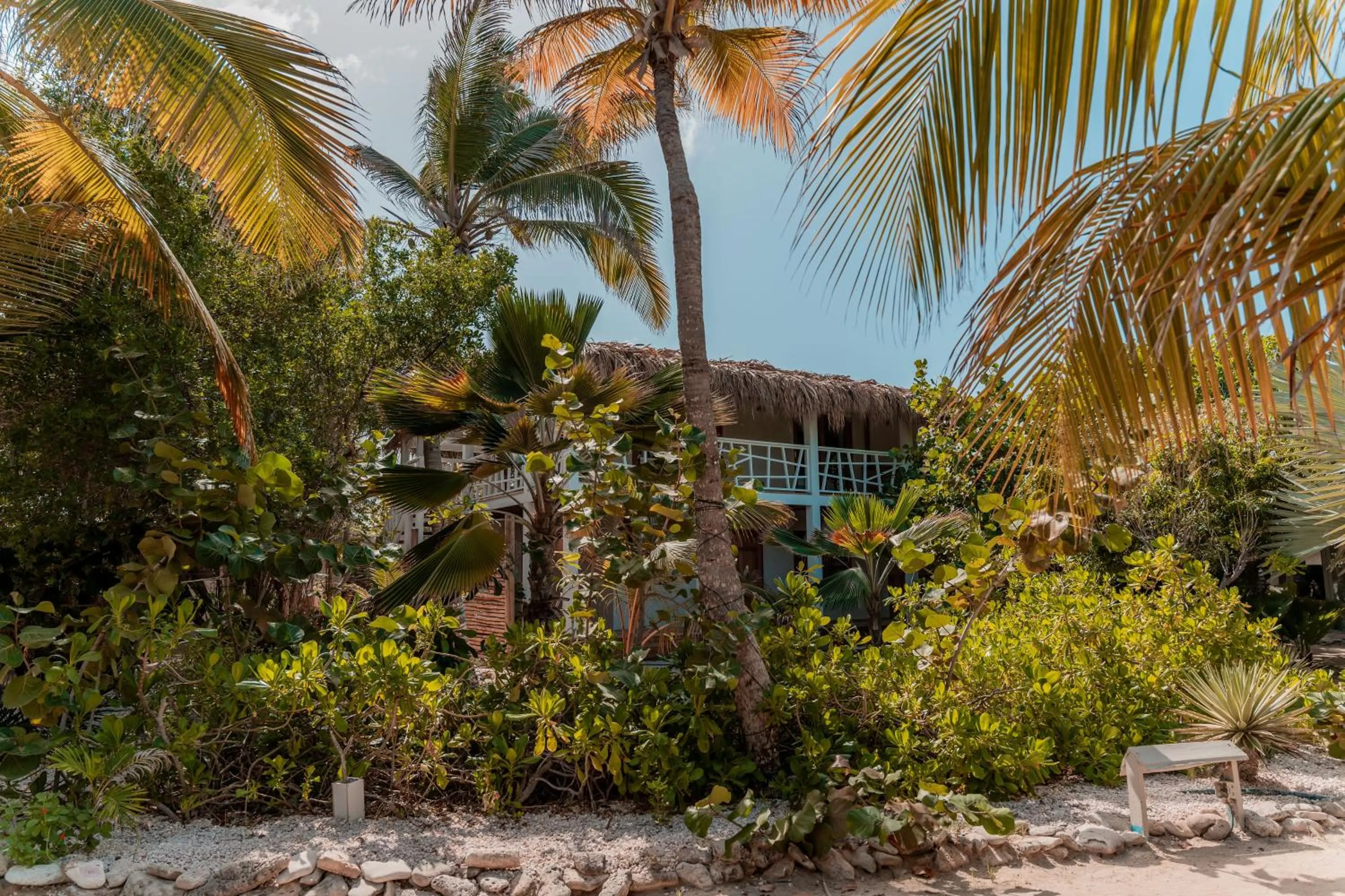 Garden view in Sorobon Luxury Beach Resort