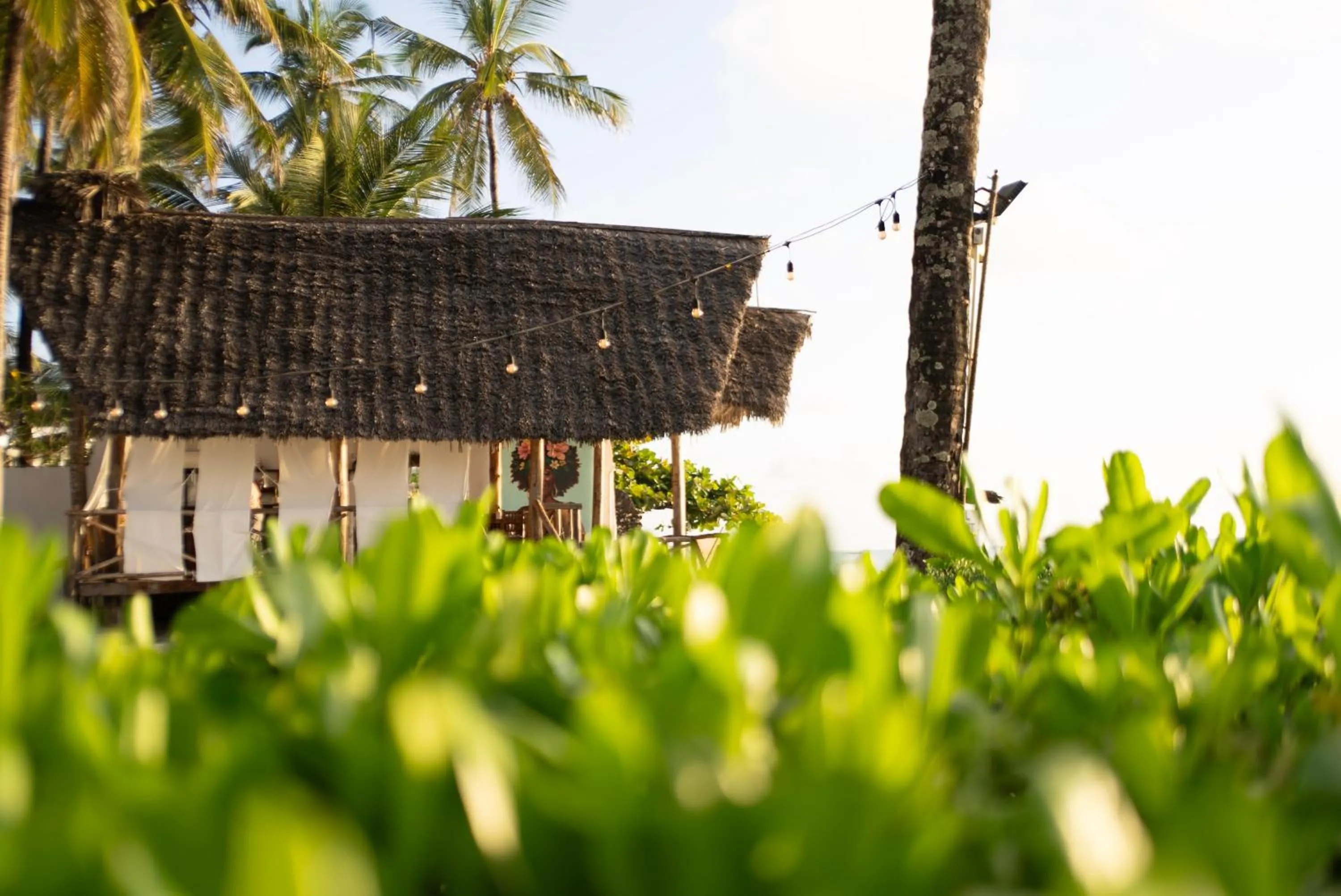 Restaurant/places to eat in Savera Beach Houses