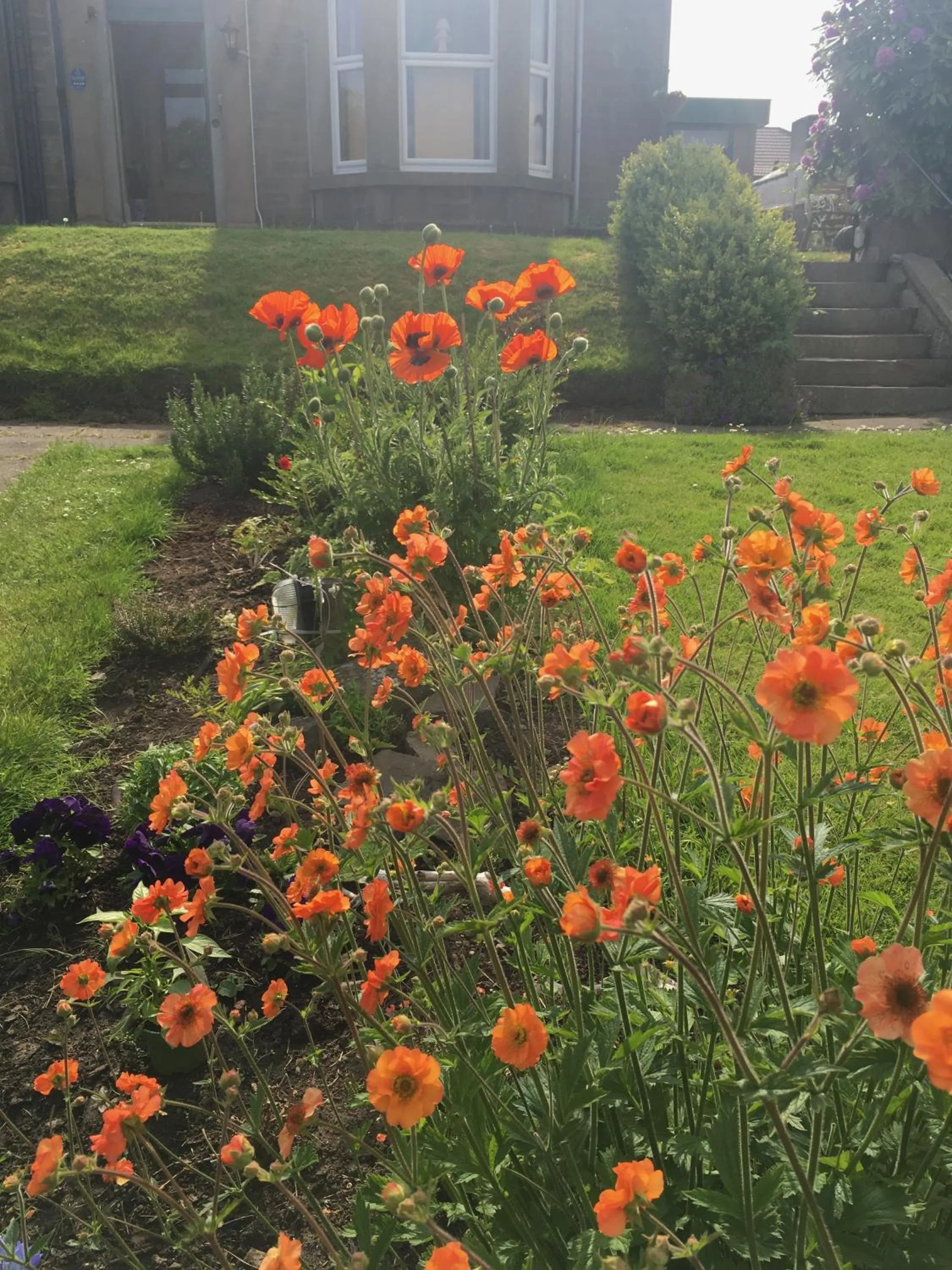 Summer in Dupplin152 bed and breakfast