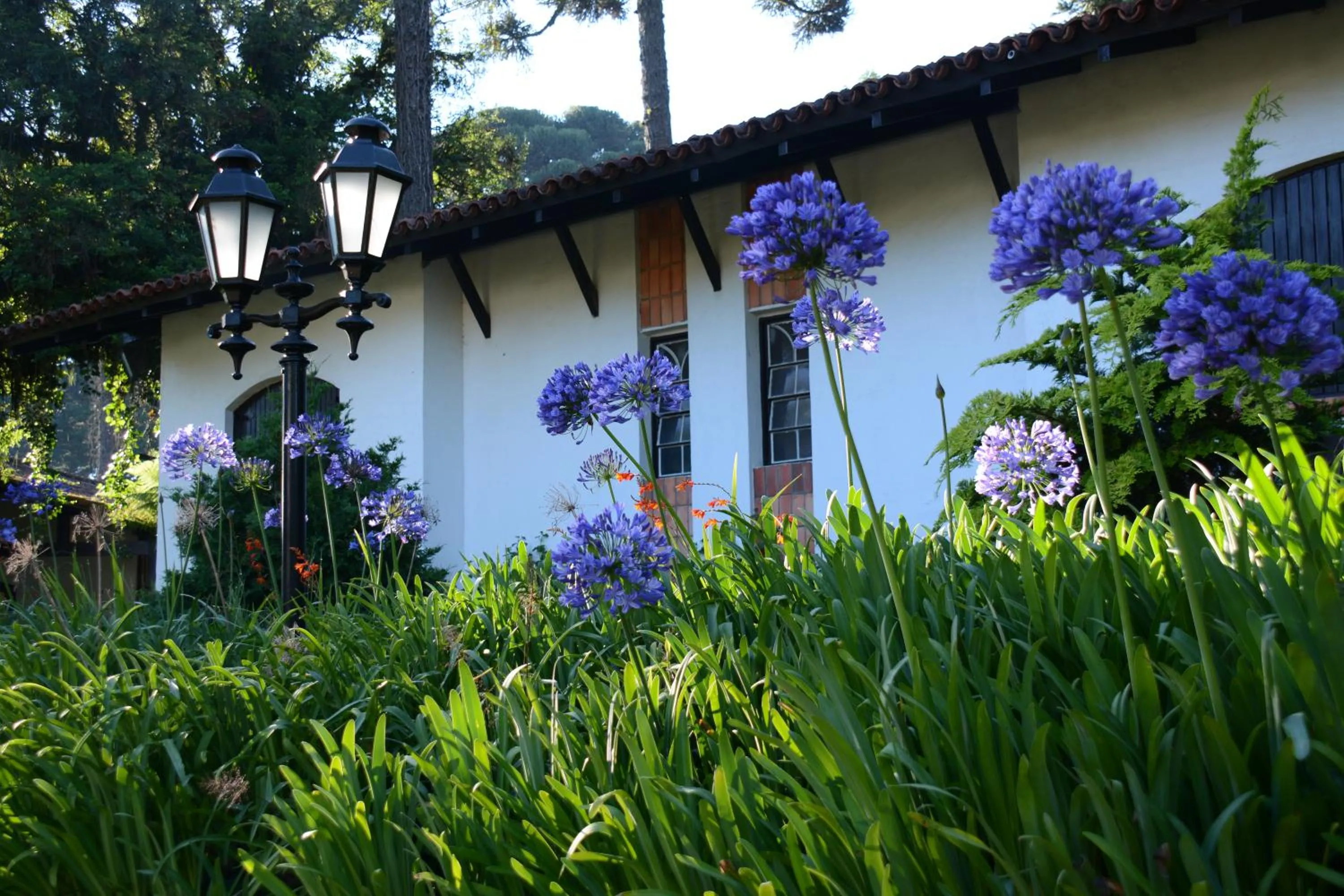 Facade/entrance in Vila Suzana Parque Hotel