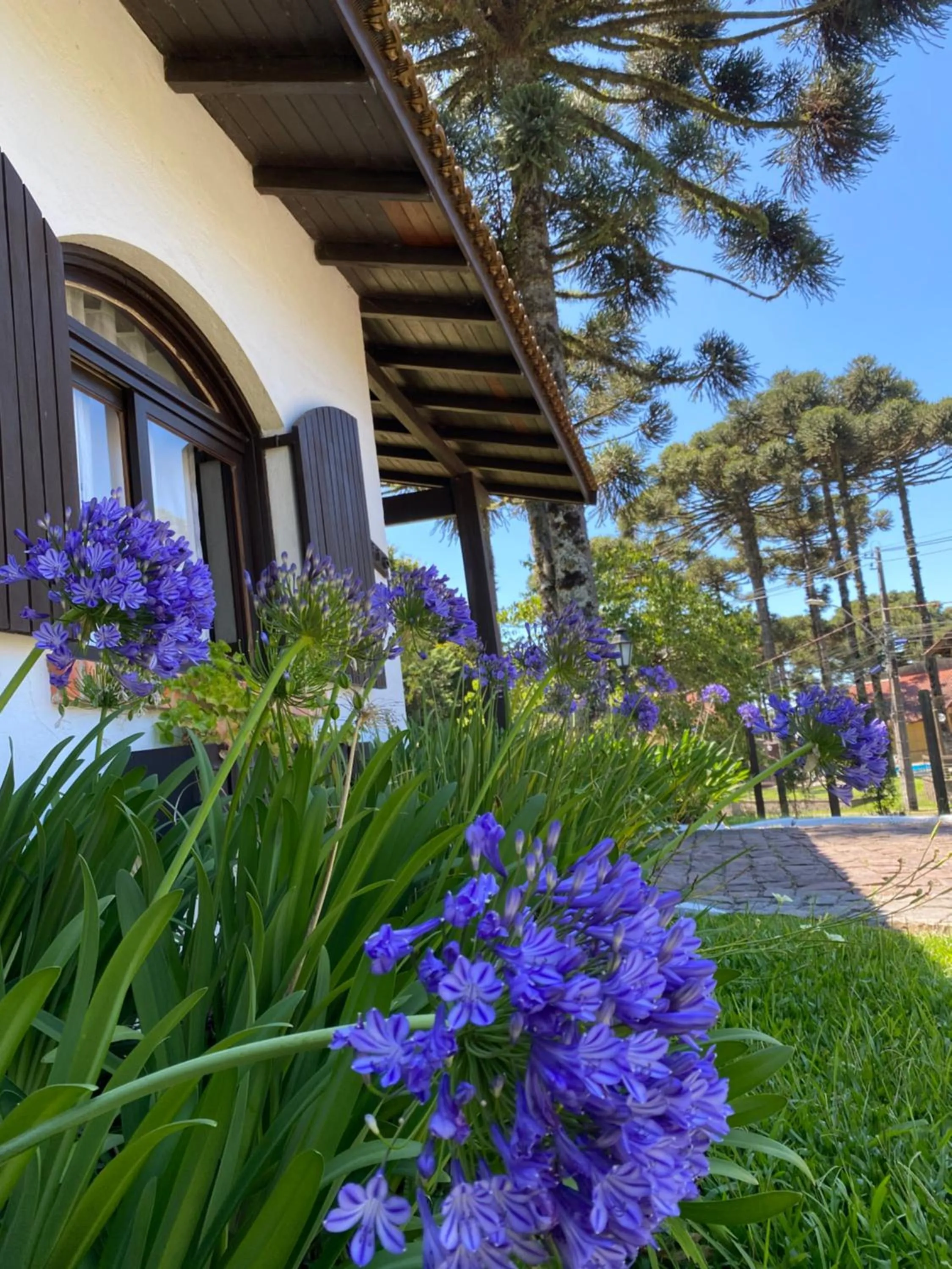 Garden in Vila Suzana Parque Hotel