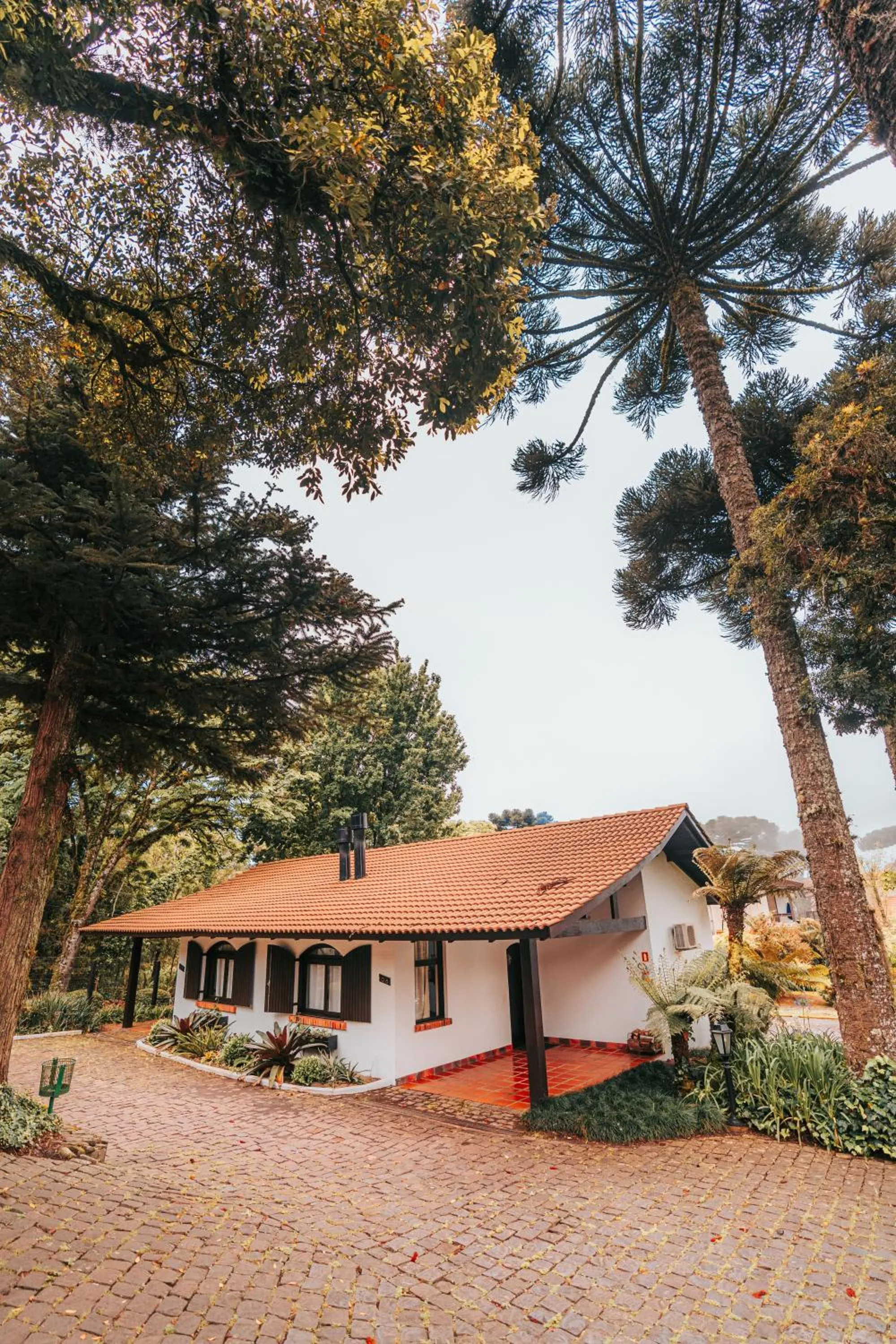 Property building in Vila Suzana Parque Hotel