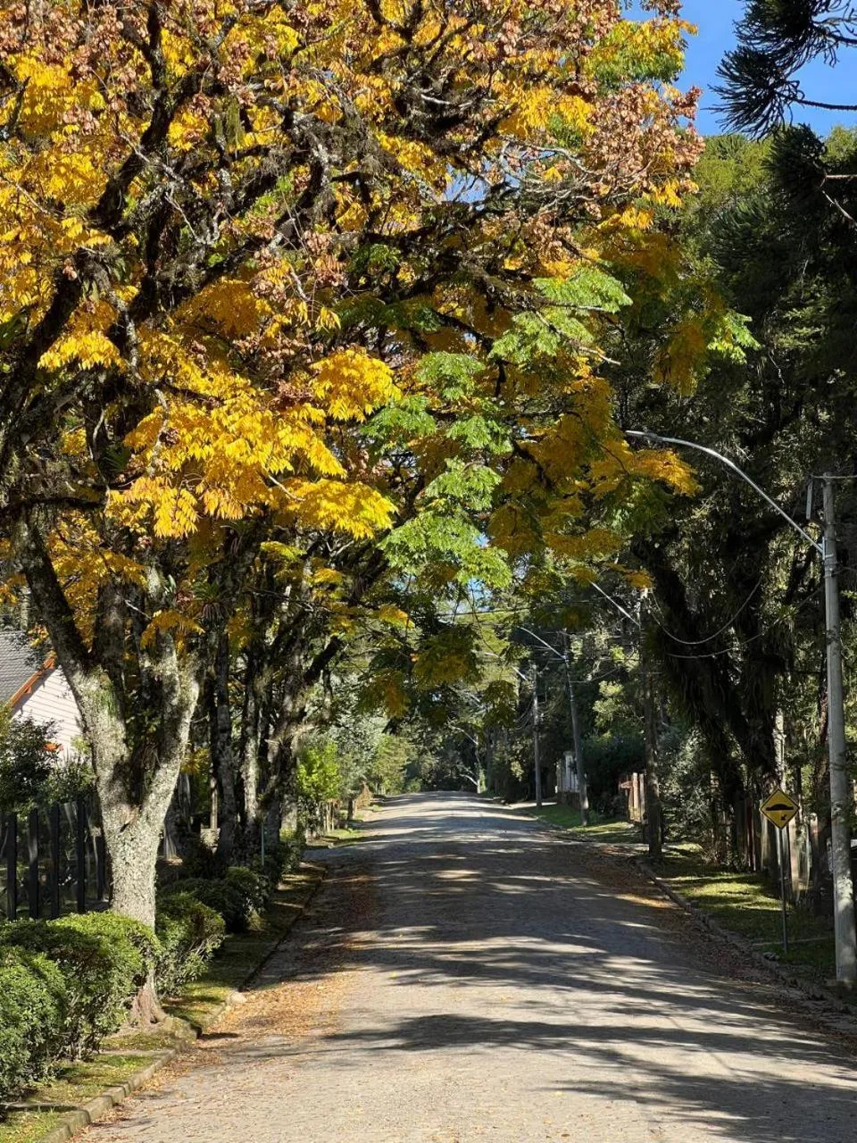 Garden view in Vila Suzana Parque Hotel