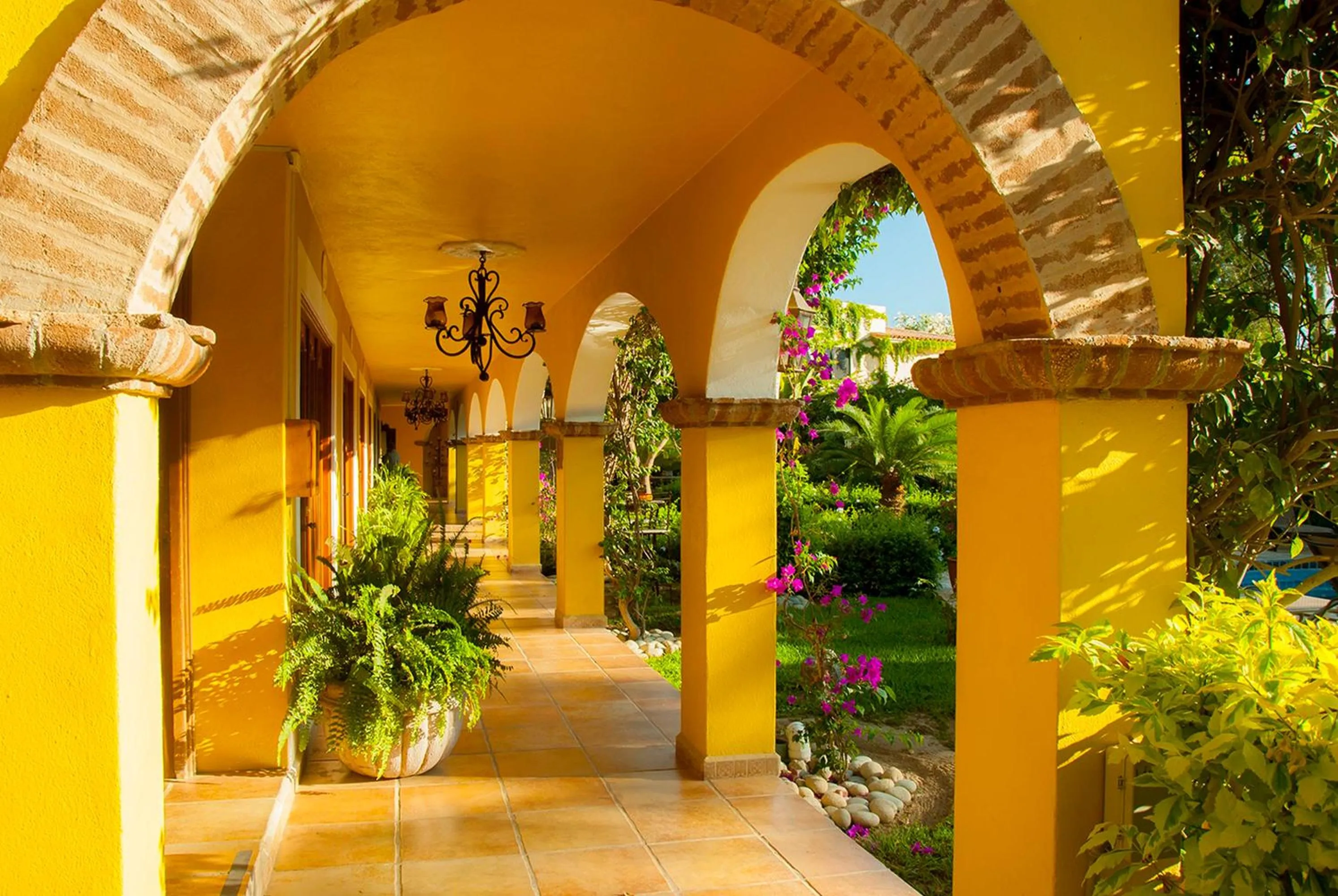 Area and facilities in El Encanto Inn & Suites