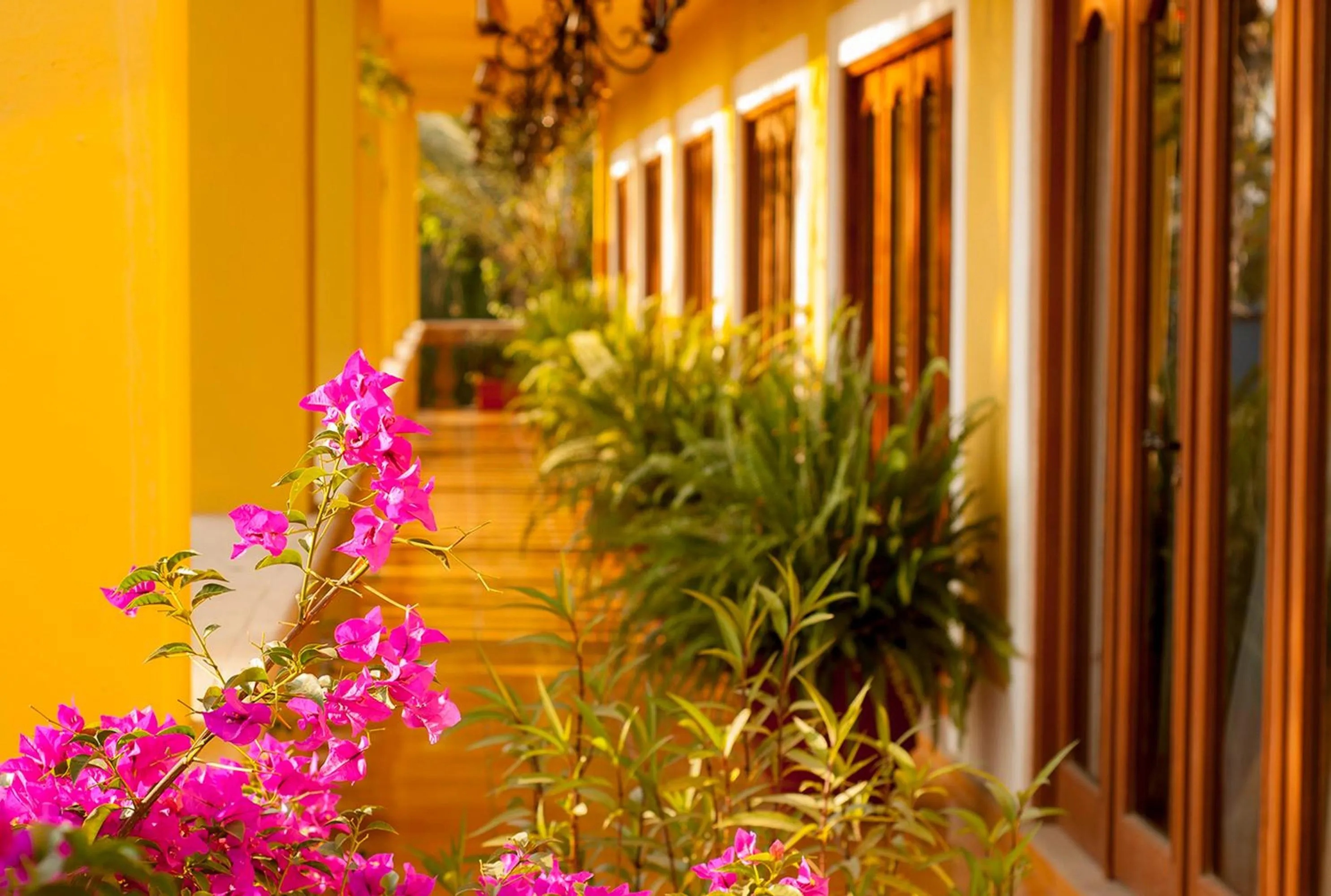 Area and facilities in El Encanto Inn & Suites