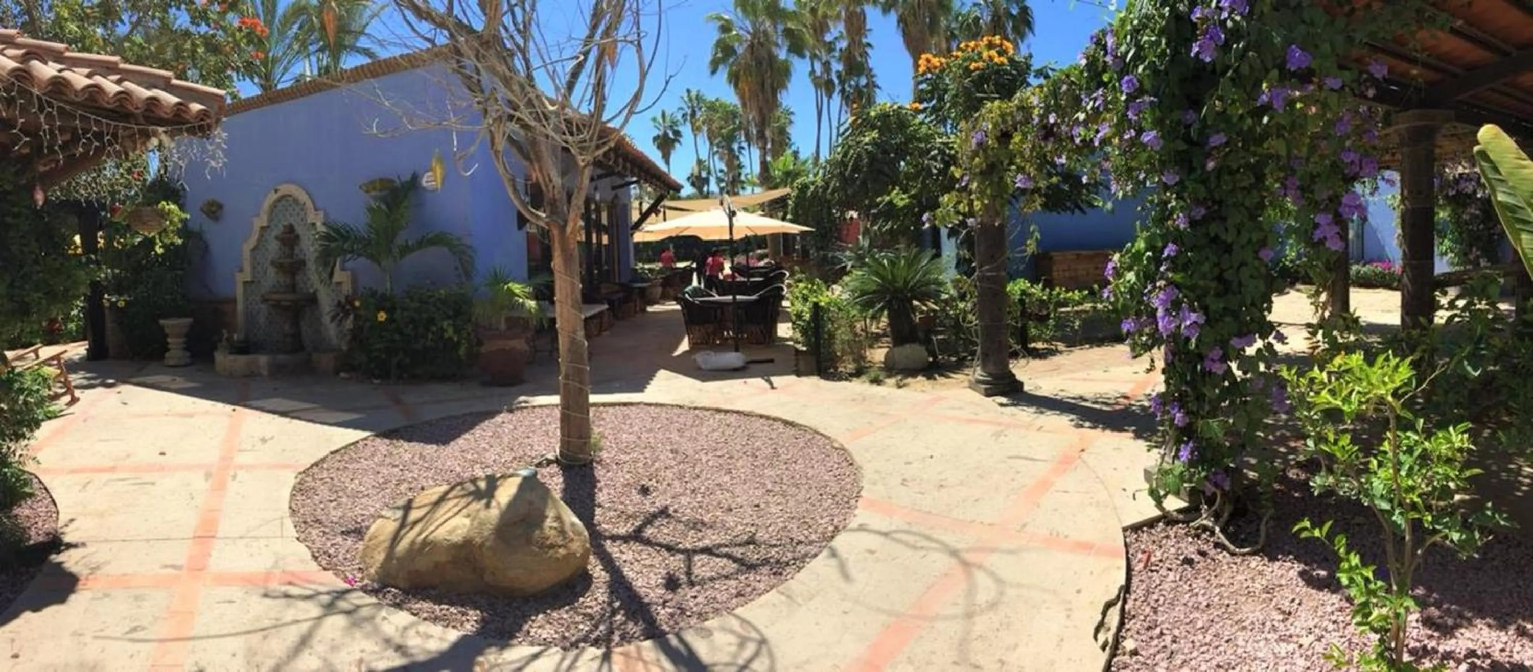Garden in El Encanto Inn & Suites