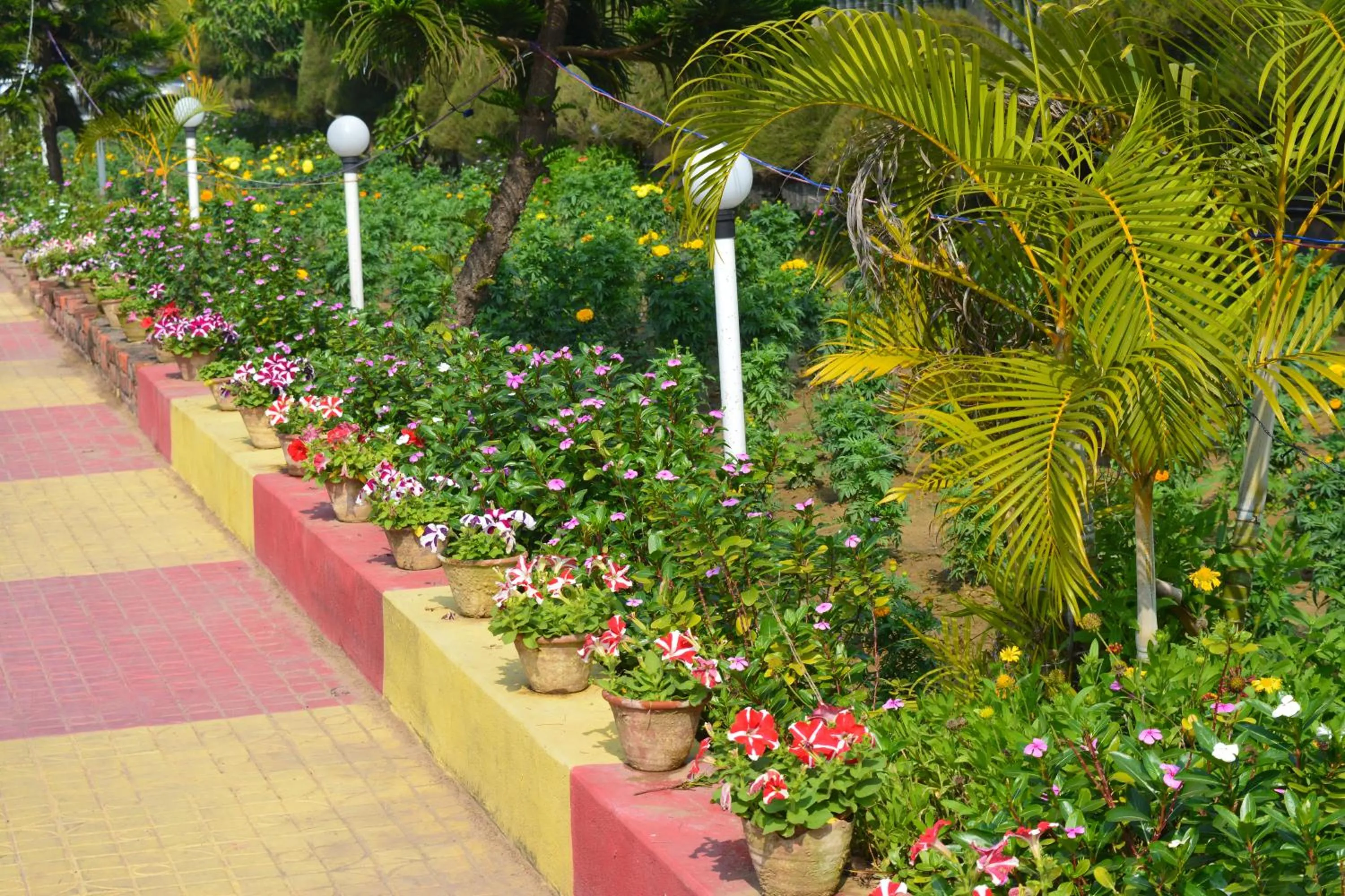 Property building in Sunview Resort