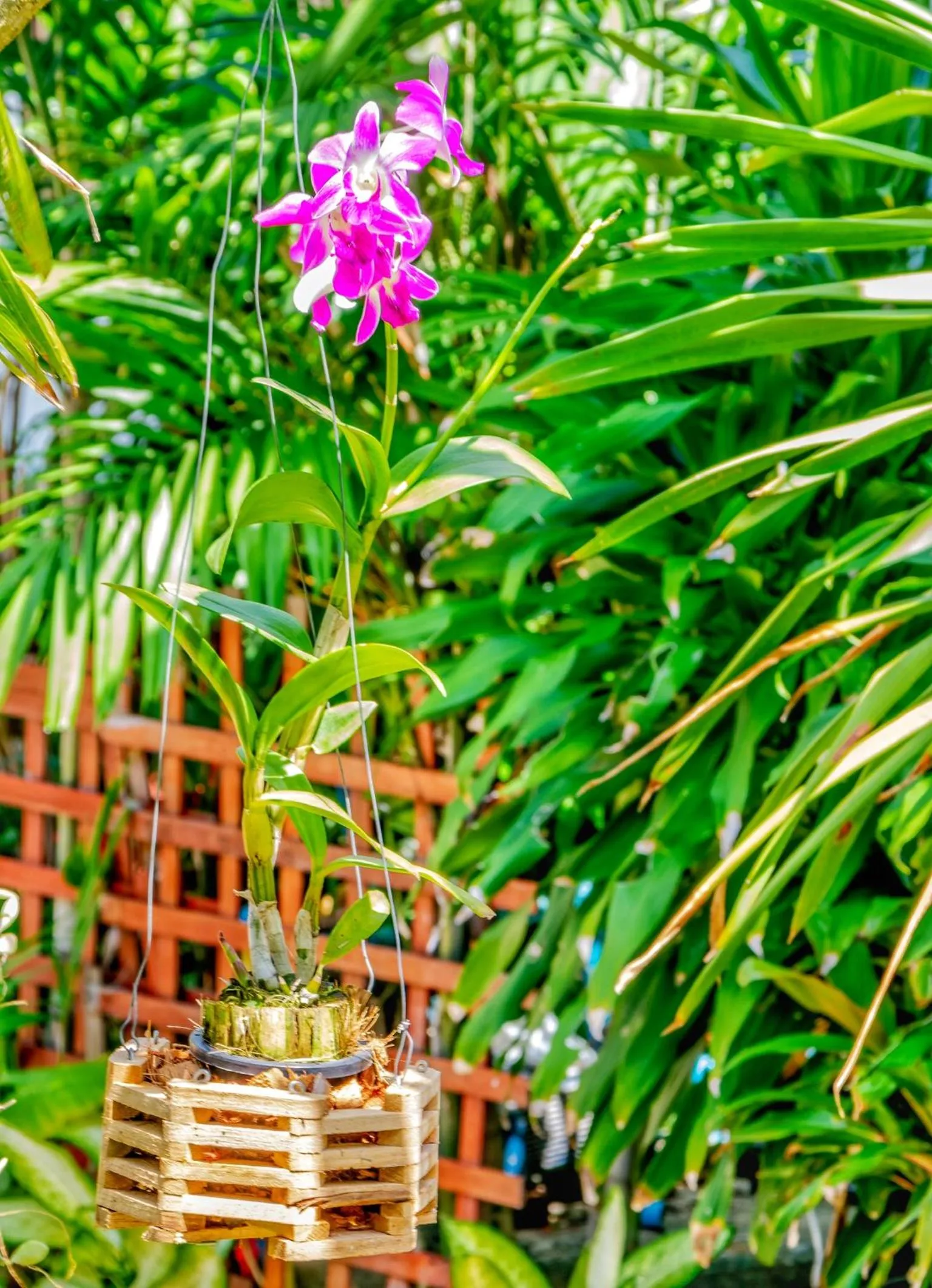 Garden in Kata Leaf Resort Phuket -